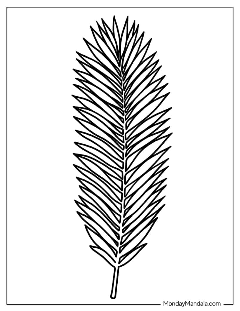 Palm Tree Leaf coloring page — printable line art