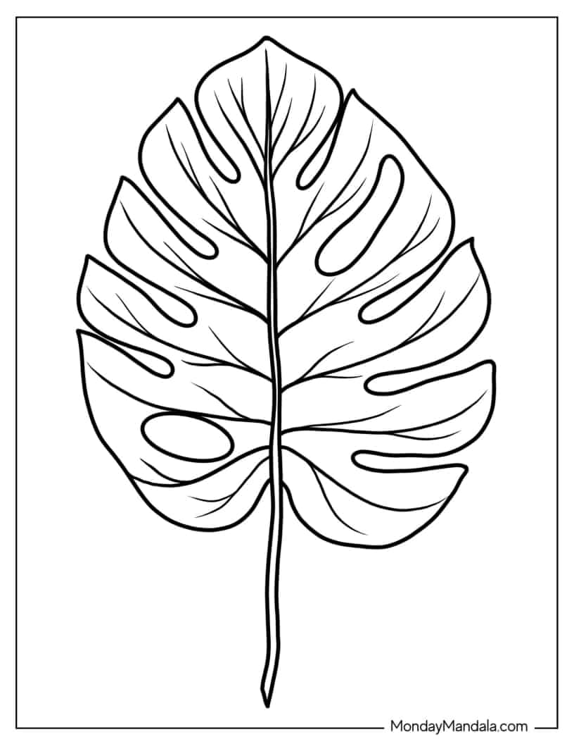 Philodendron Leaf Coloring Sheet coloring page