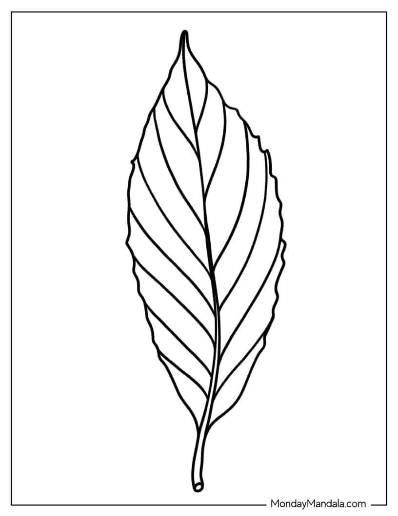 Realistic Look Leaf coloring page — printable line art