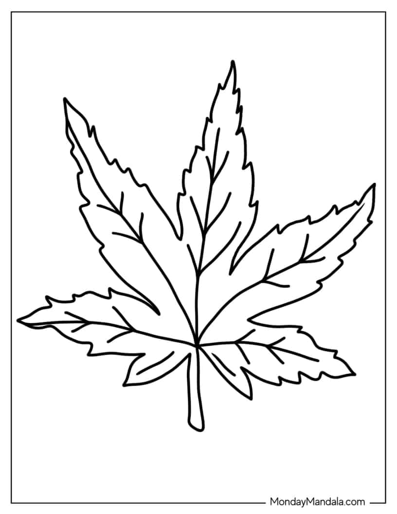 Simple Maple Leaf To Color coloring page