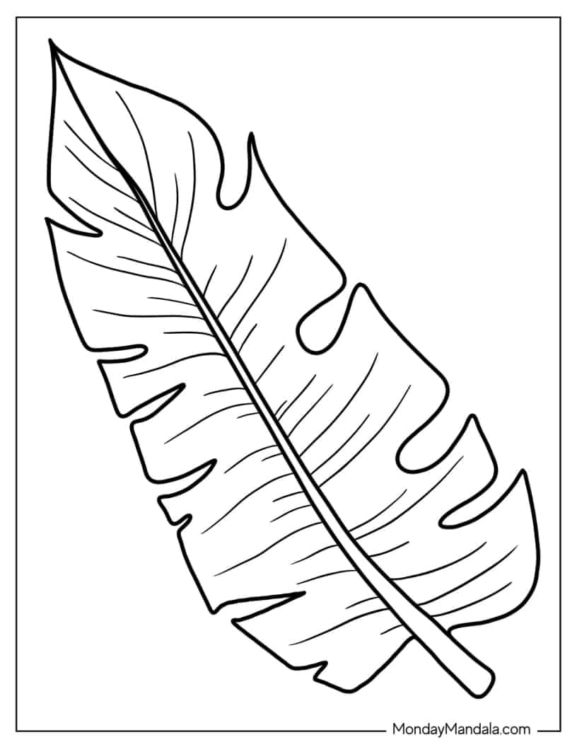 Tropical Leaf Coloring Picture coloring page