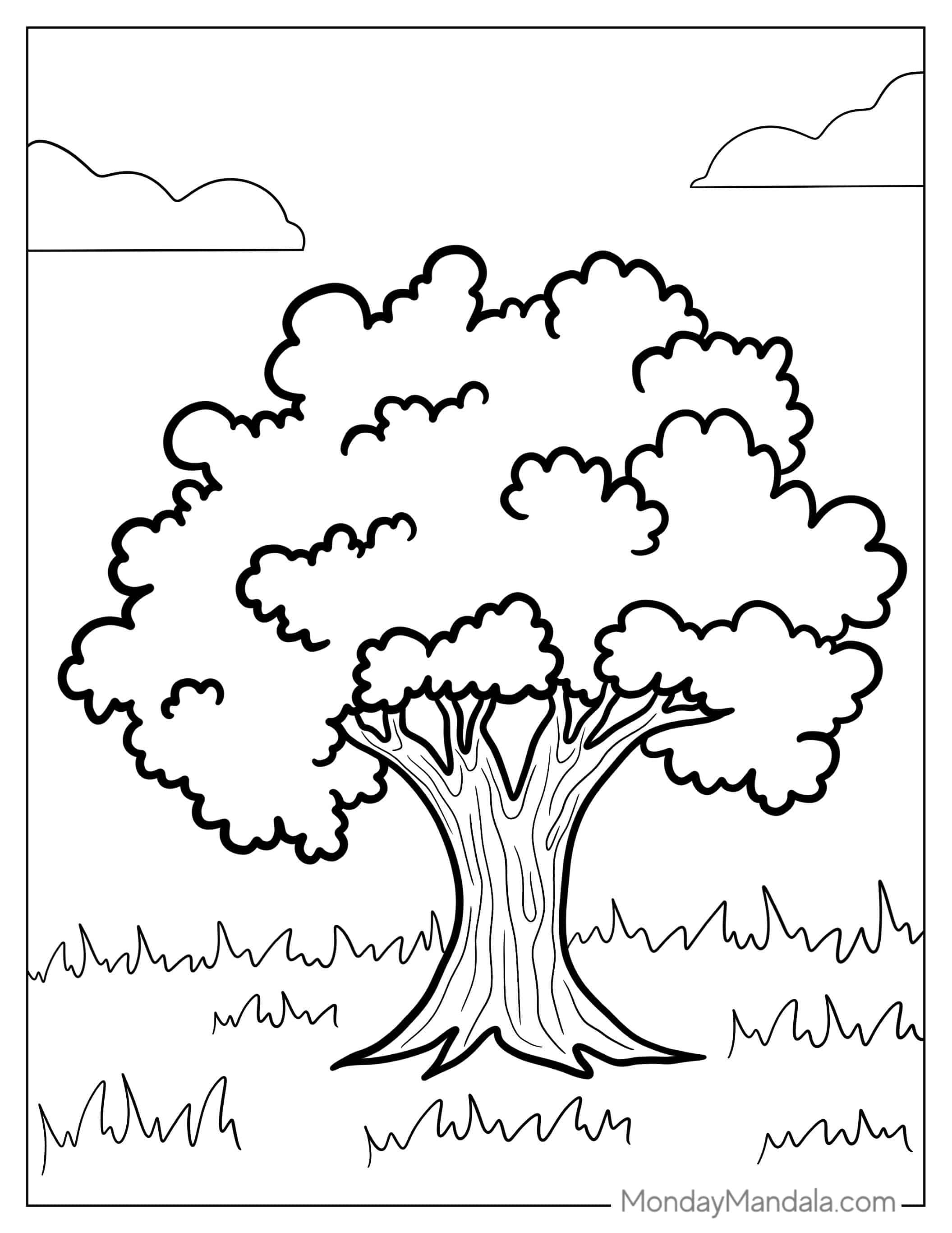 Easy White Ash Tree To Color coloring page — printable line art