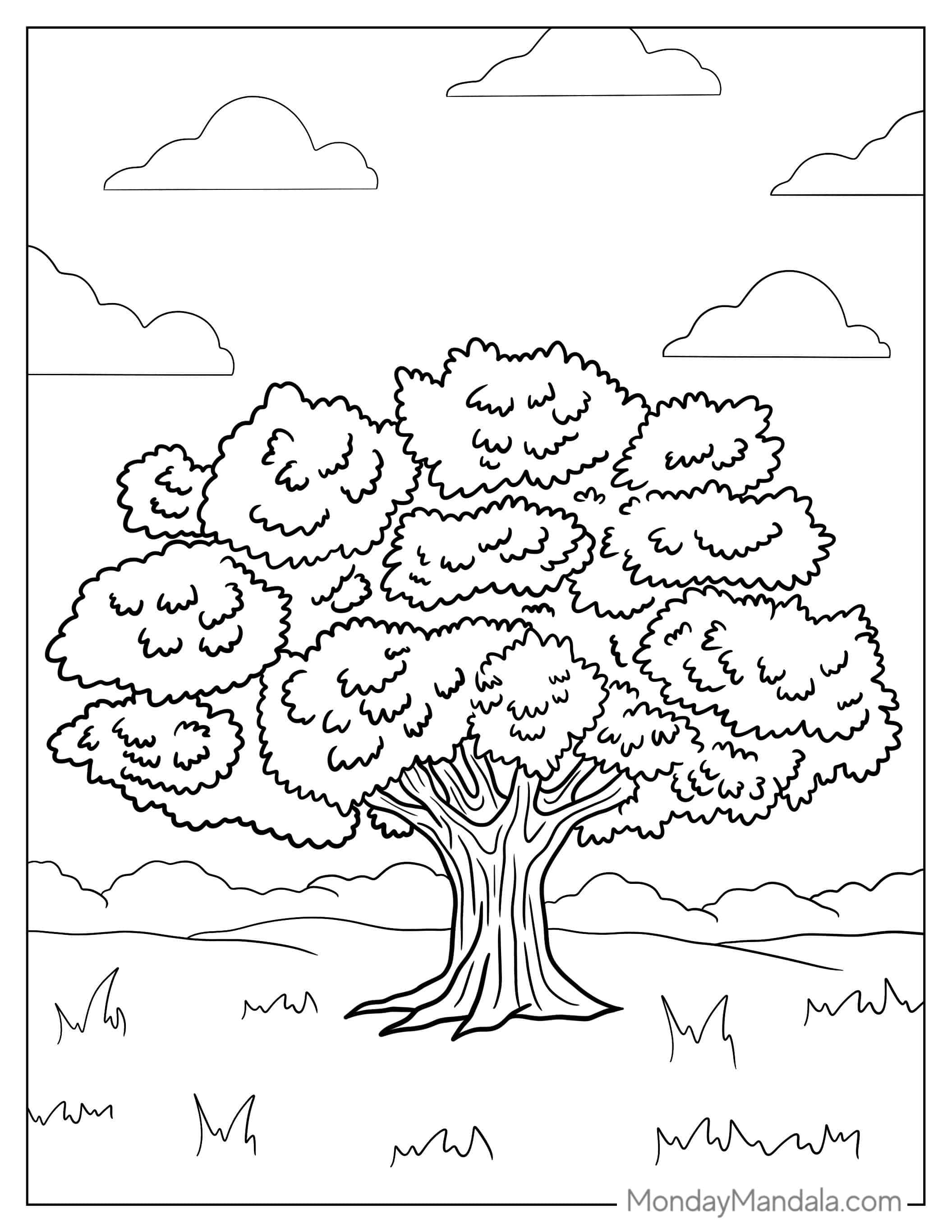 Elm Tree Coloring Sheet coloring page