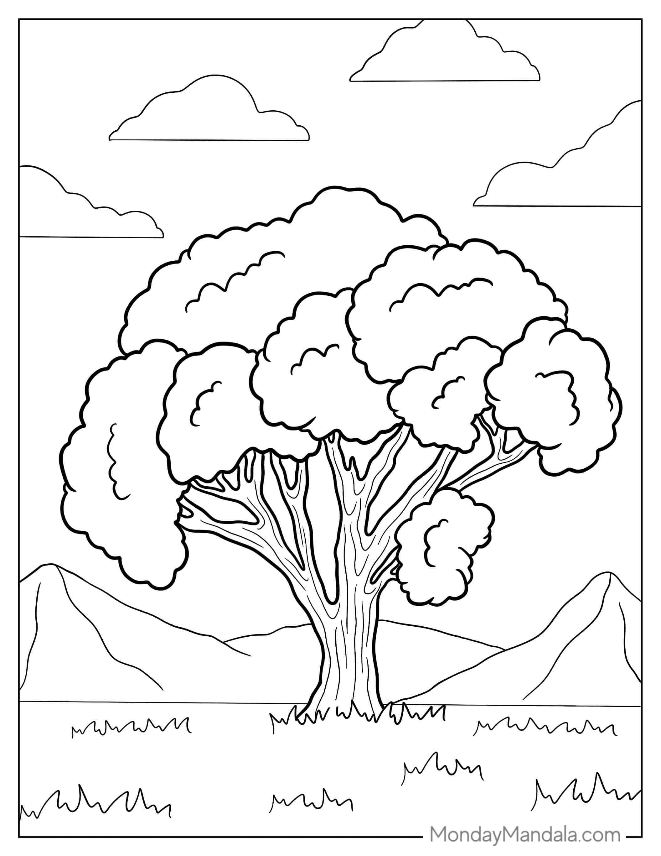 Honey Locust Tree Coloring Sheet coloring page — printable line art