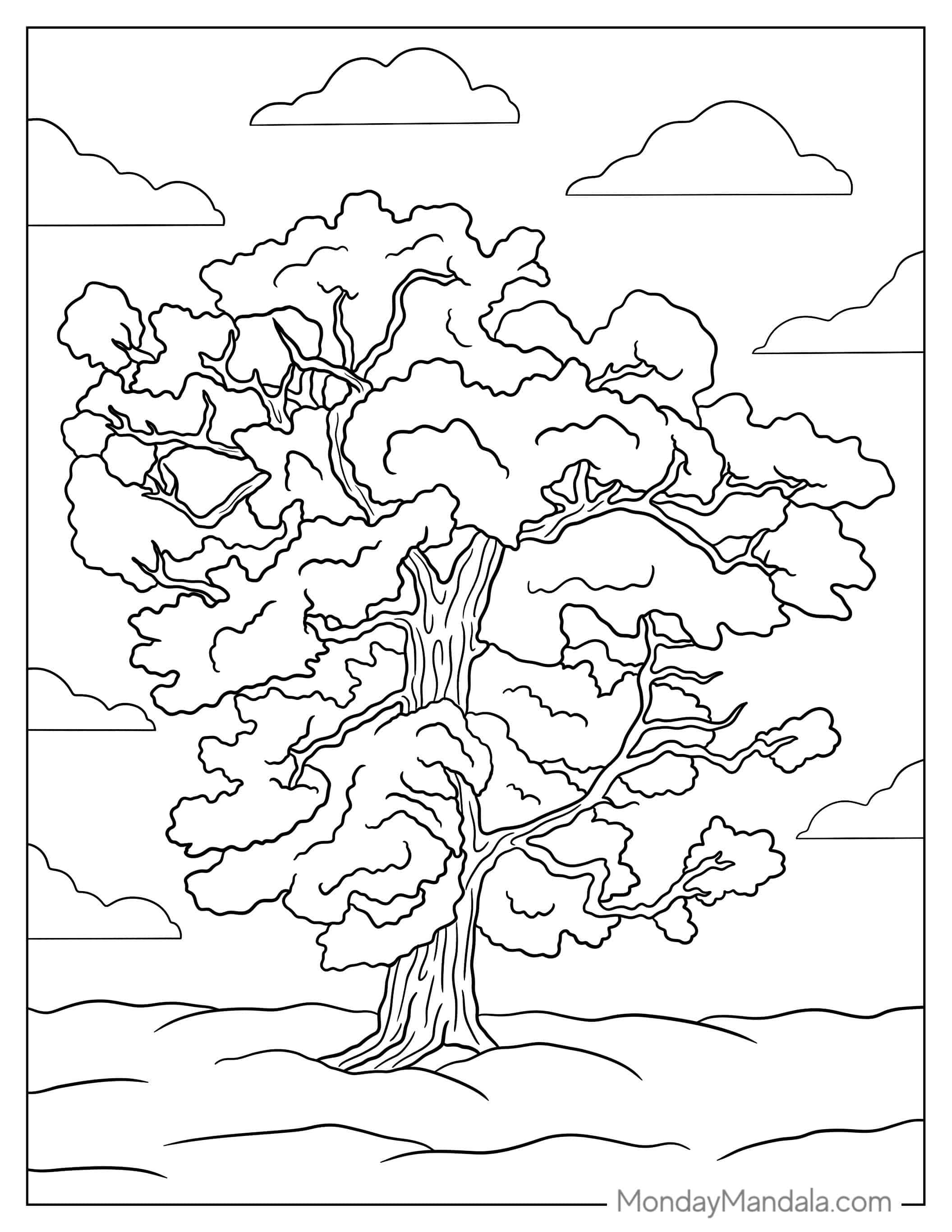 Huge Old Majestic Tree coloring page — printable line art