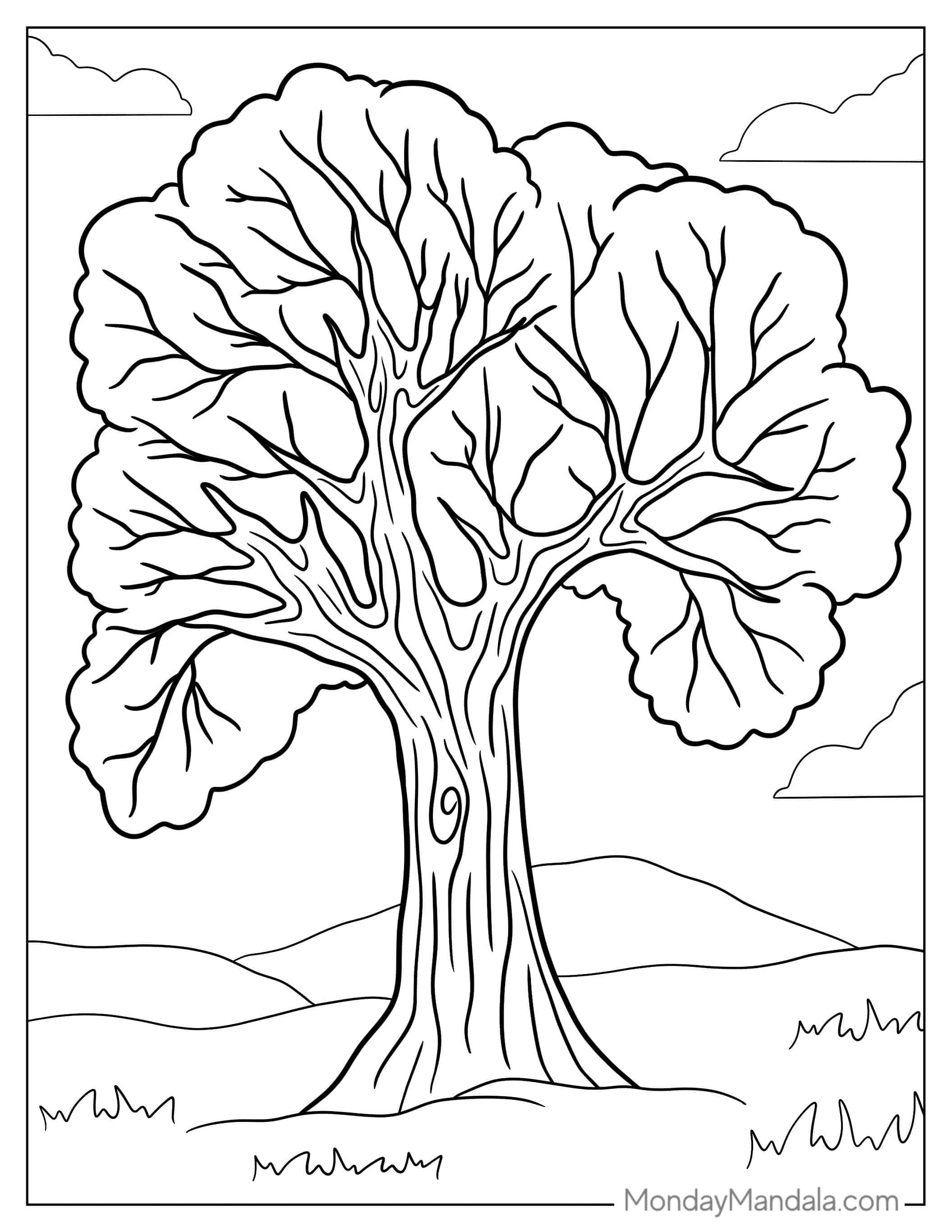 Realistic Oak Tree Coloring Tree coloring page — printable line art