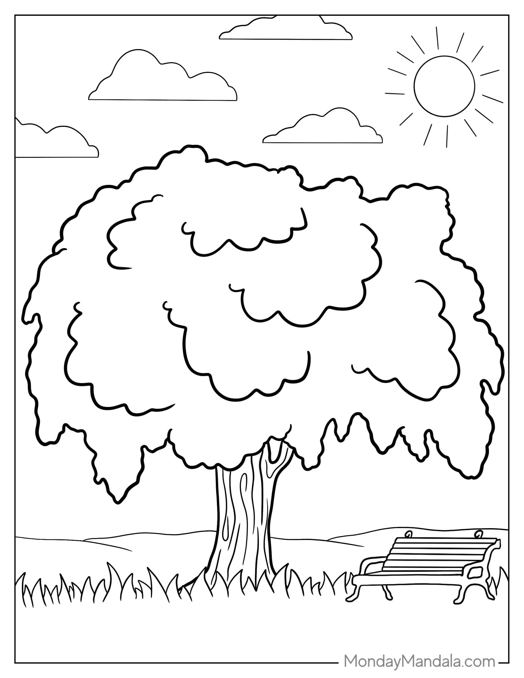 Willow Tree In Park To Color coloring page — printable line art