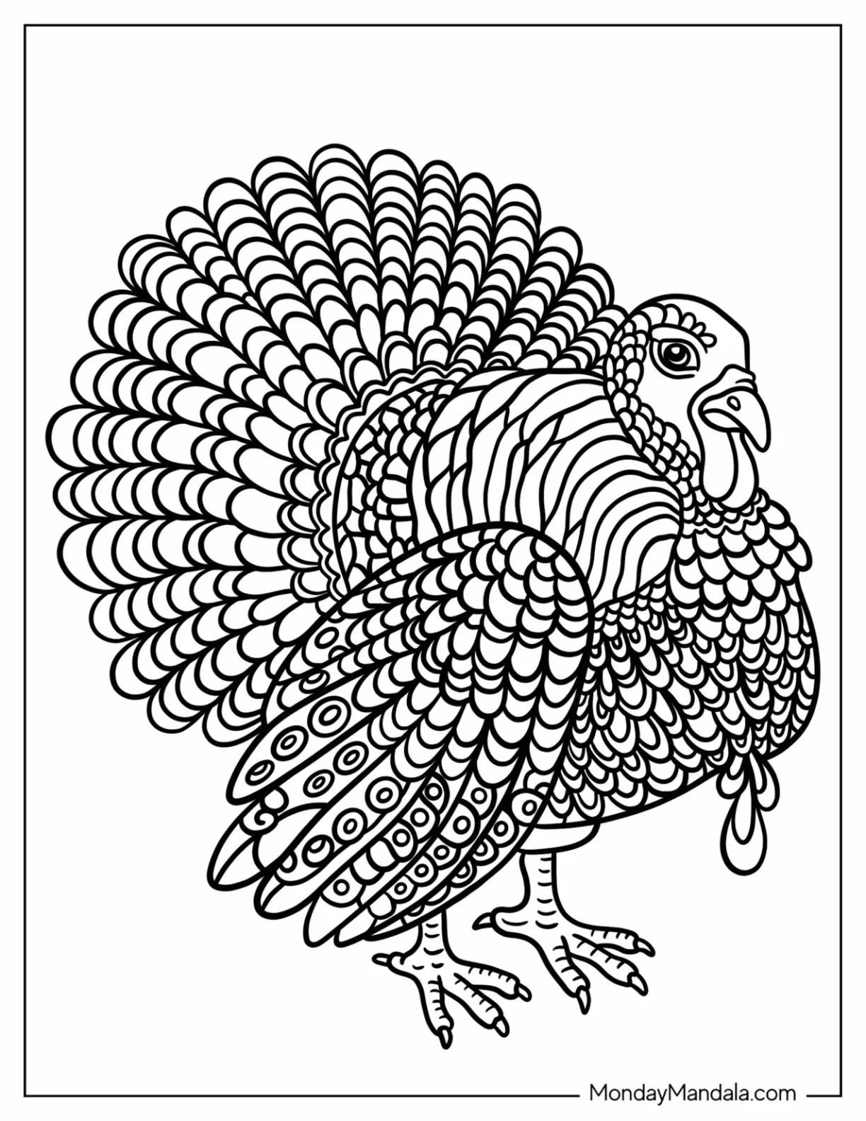 Large Turkey Coloring Page With Detailed Feathers coloring page — printable line art