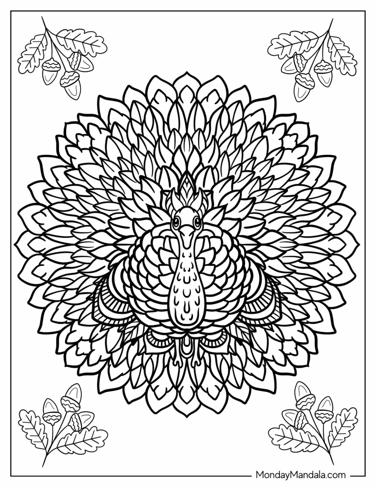 Majestic Turkey Coloring Page coloring page