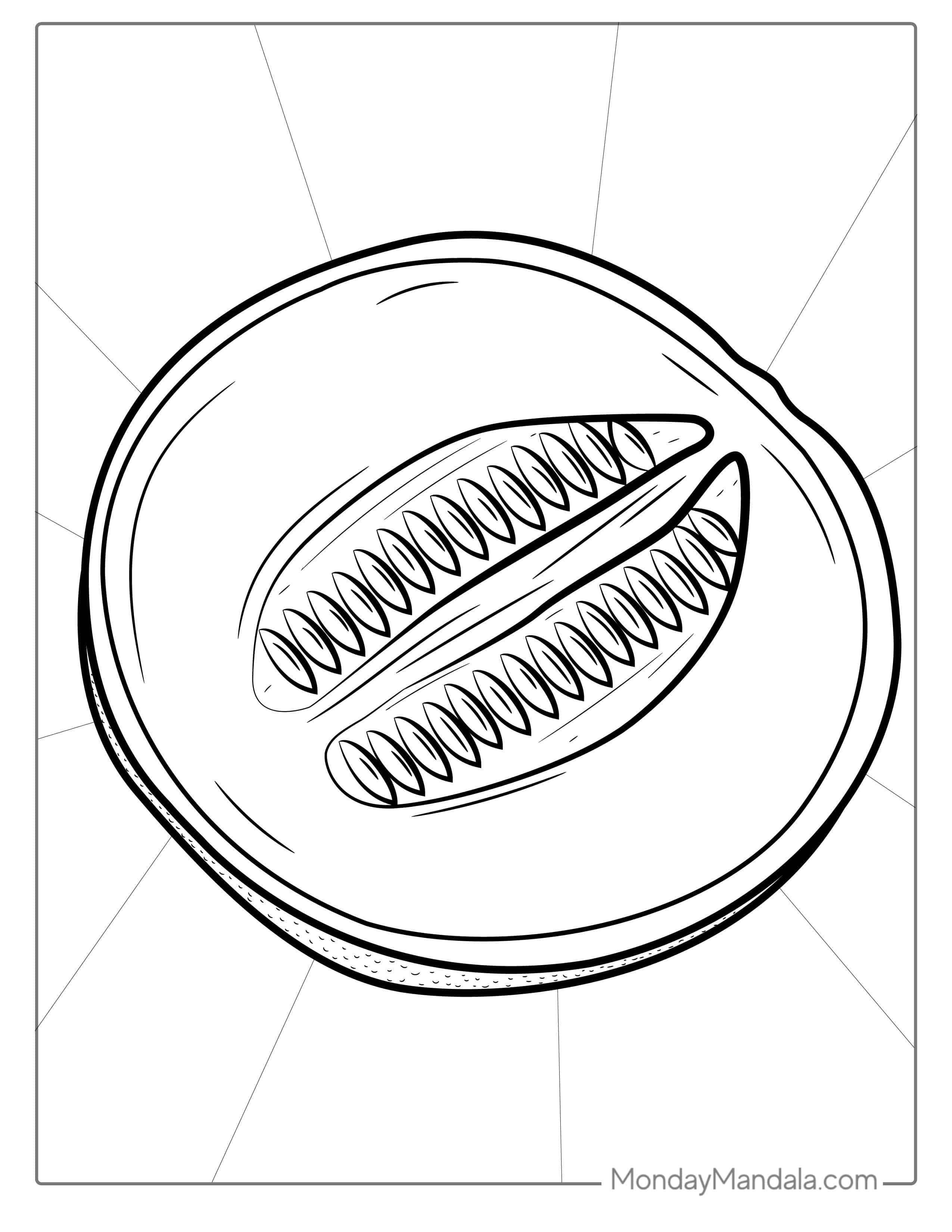 Easy Cantaloupe Coloring Page coloring page