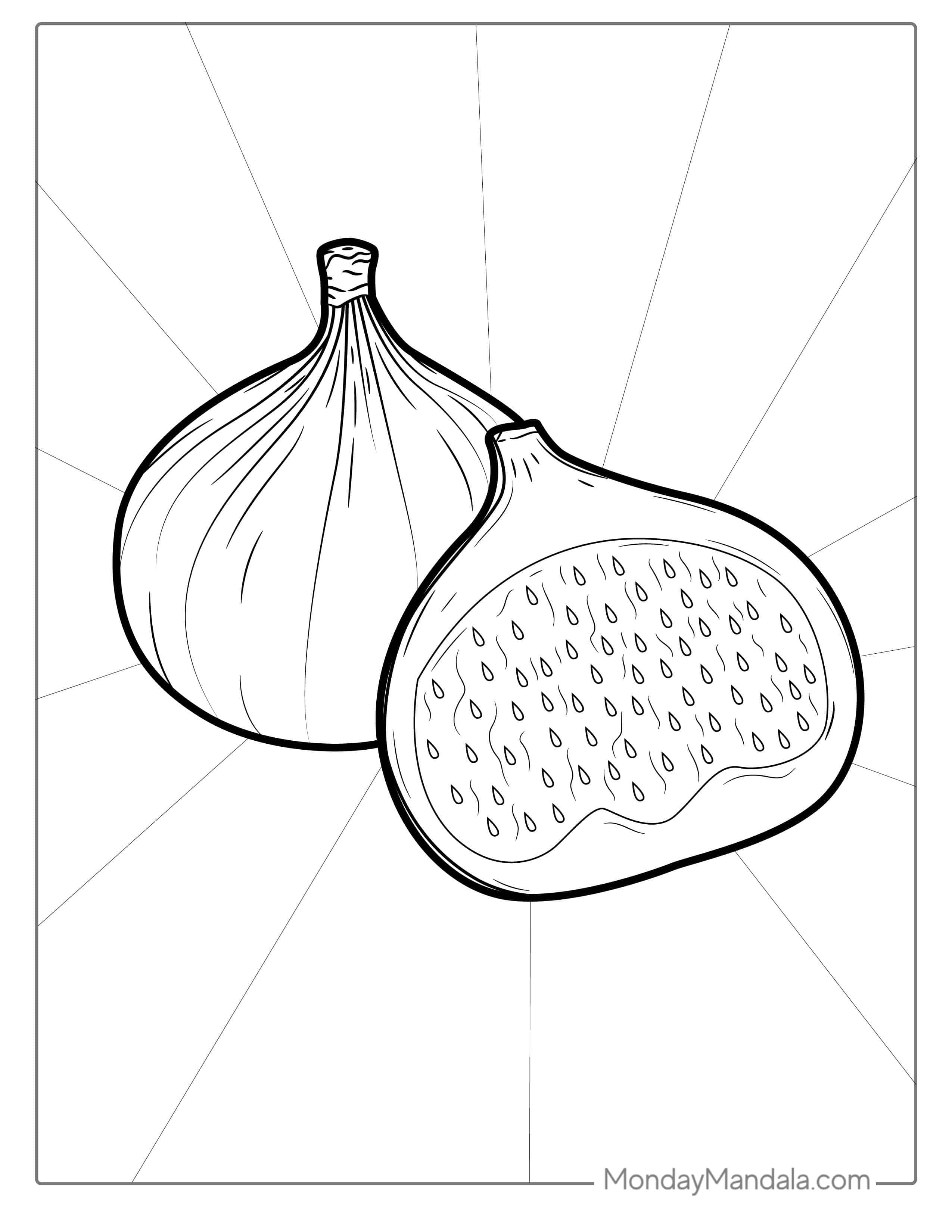 Fig Fruit Coloring Page coloring page