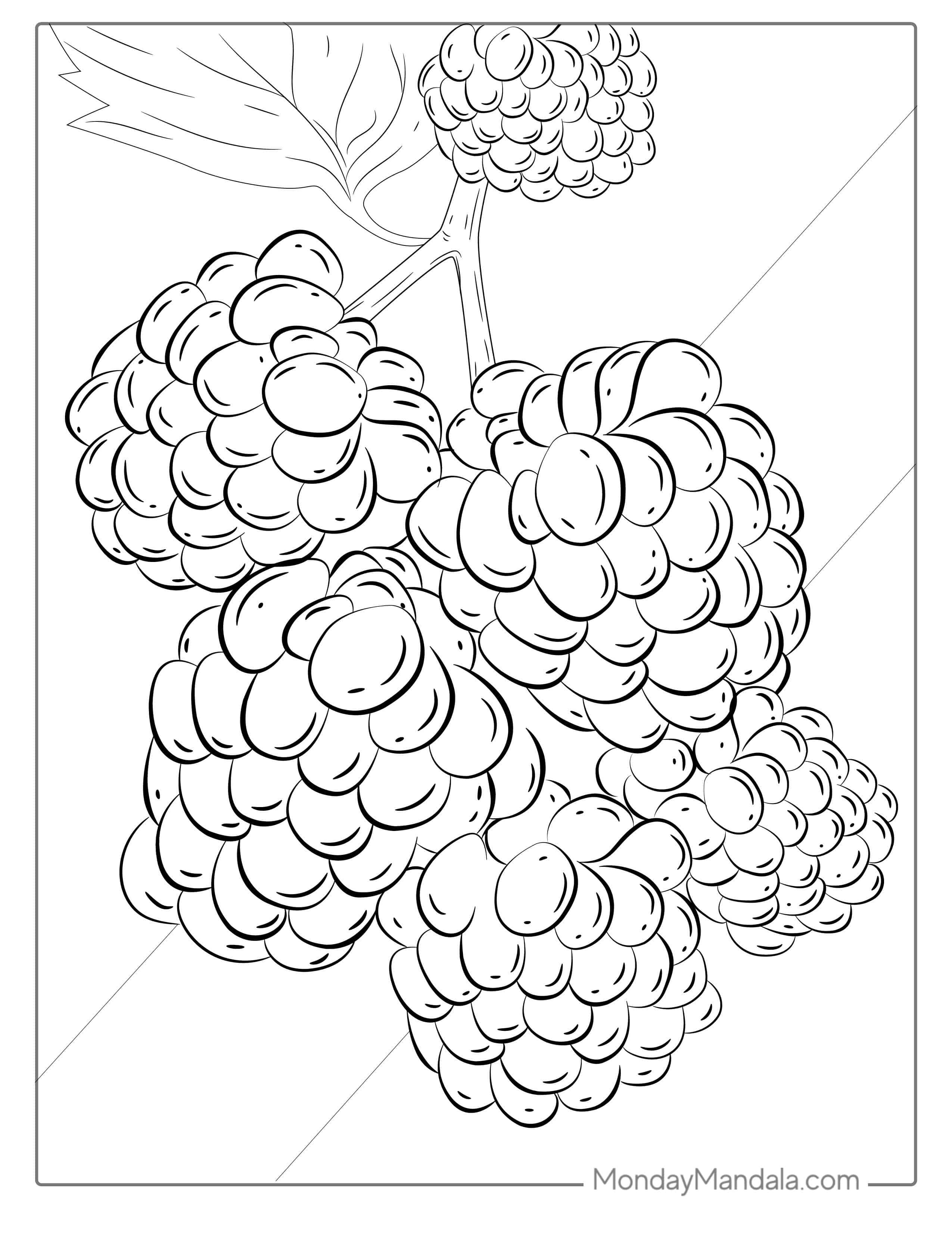 Raspberries Growing On A Bush Coloring coloring page