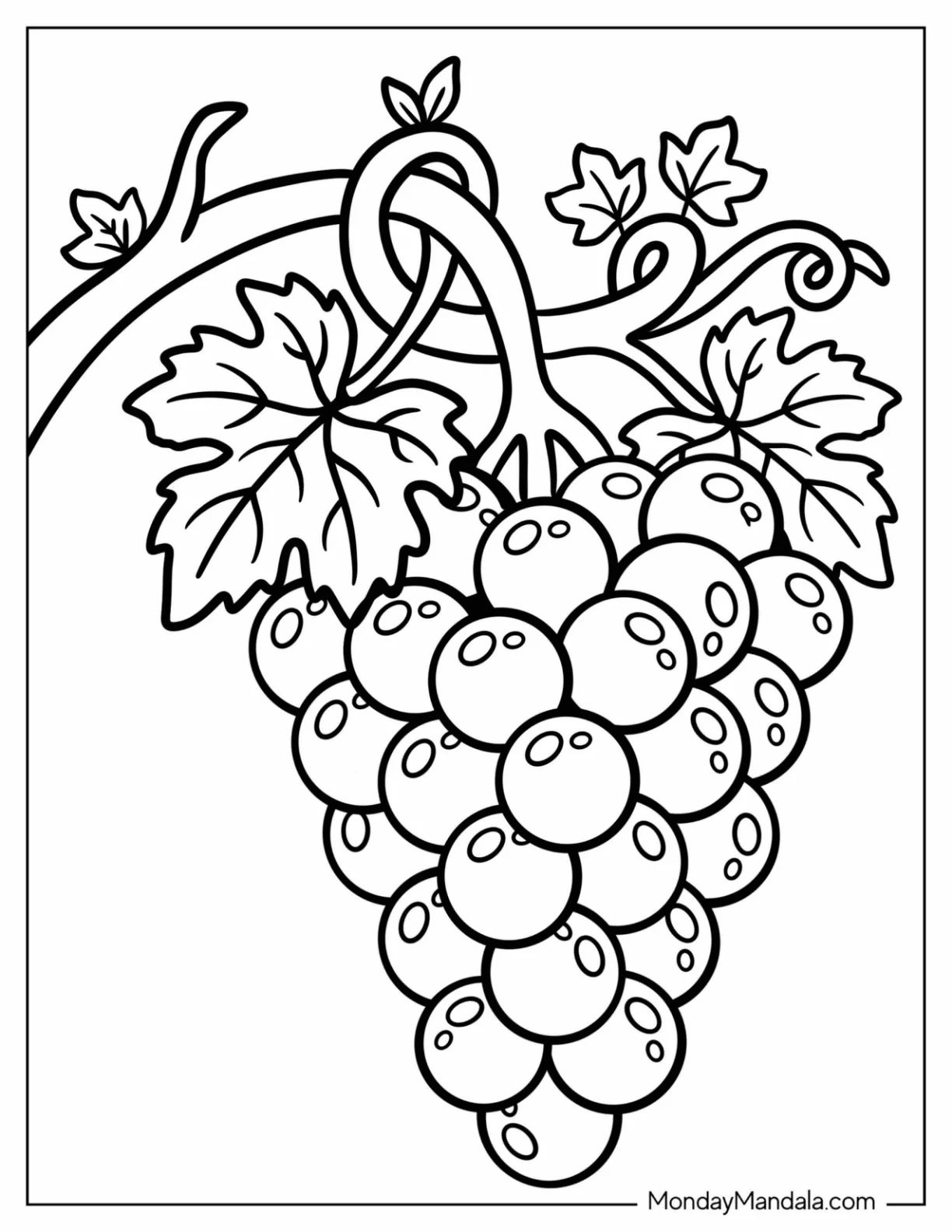 Shiny Fresh Grapes on the Vine Coloring Sheet for Kids coloring page