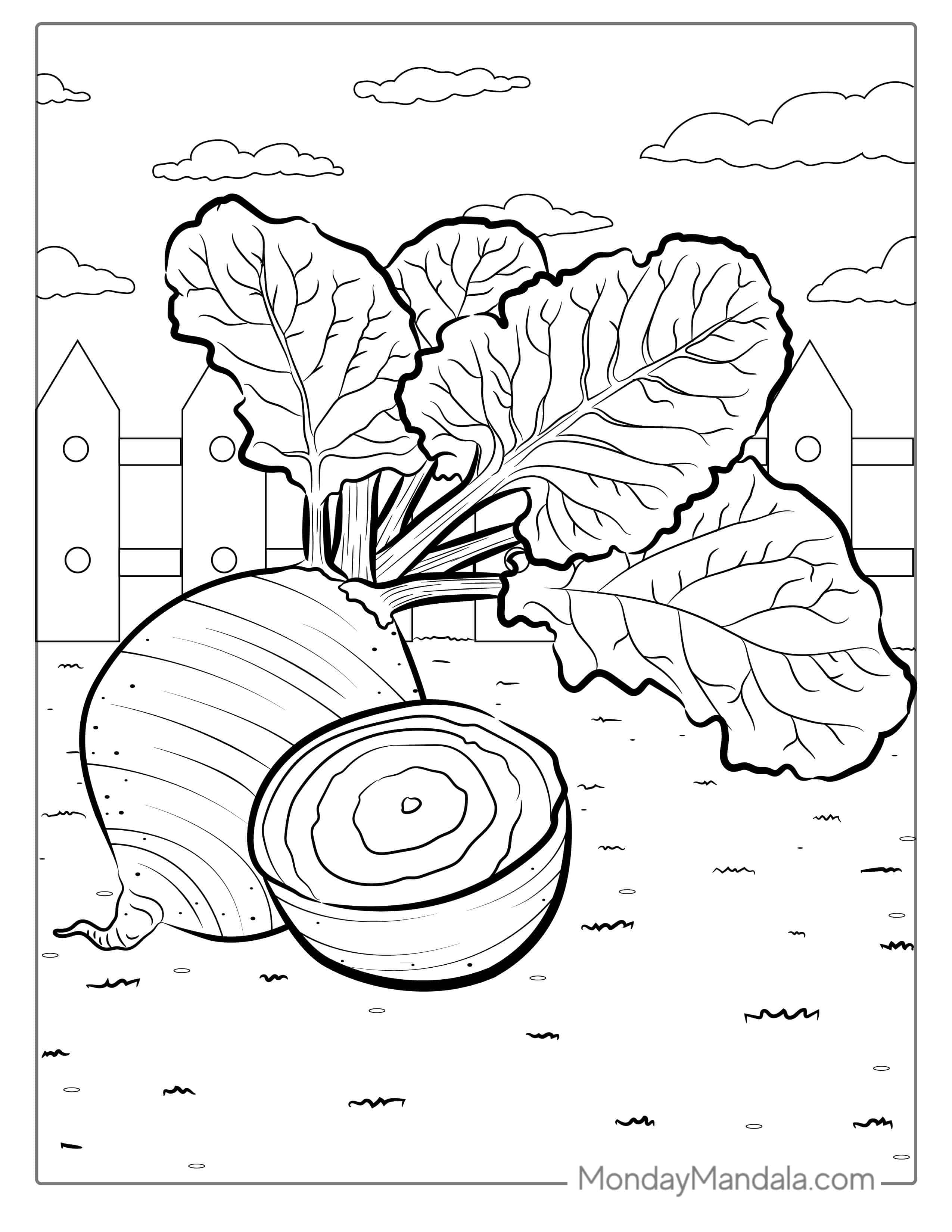 Beetroot Coloring Sheet coloring page