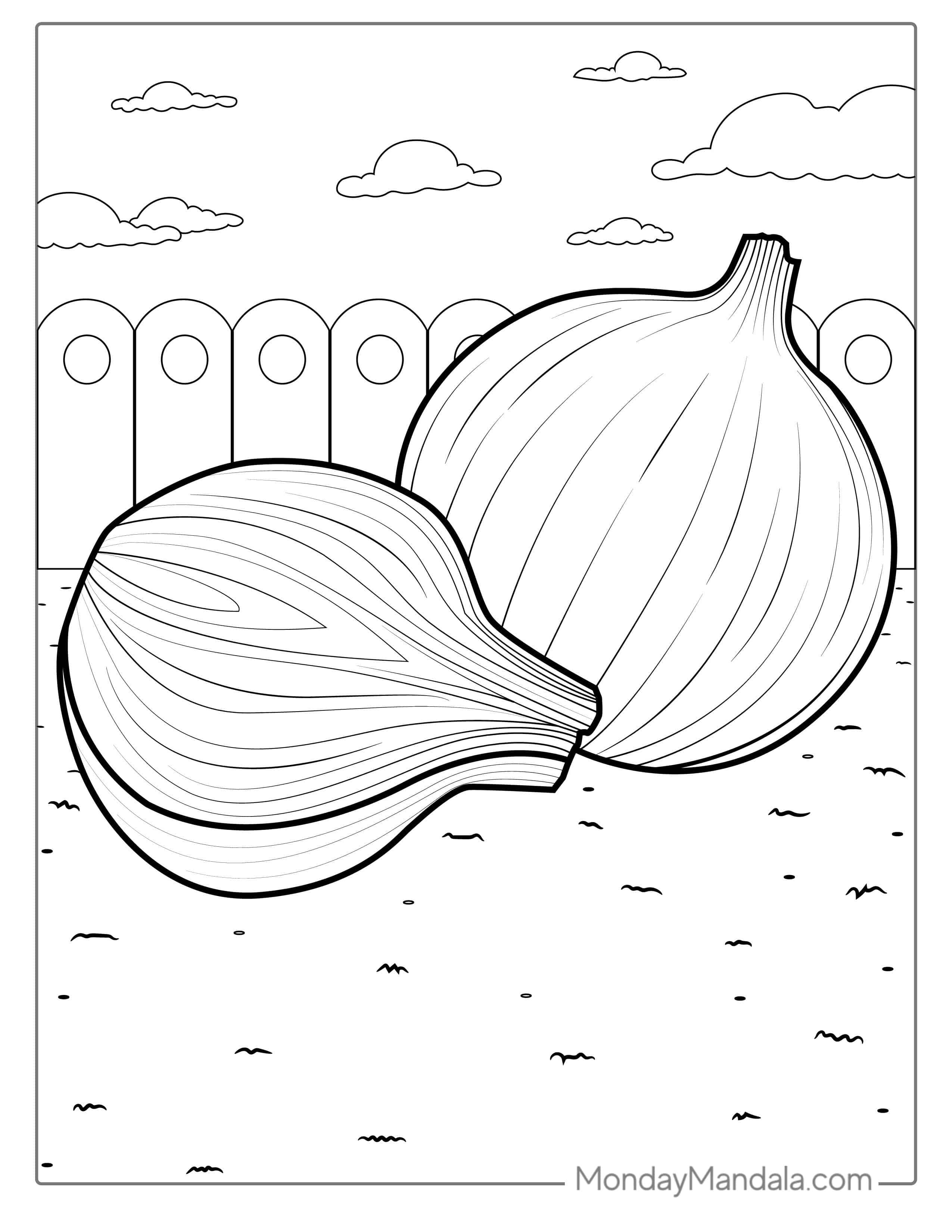 Brown Onions Coloring Page coloring page