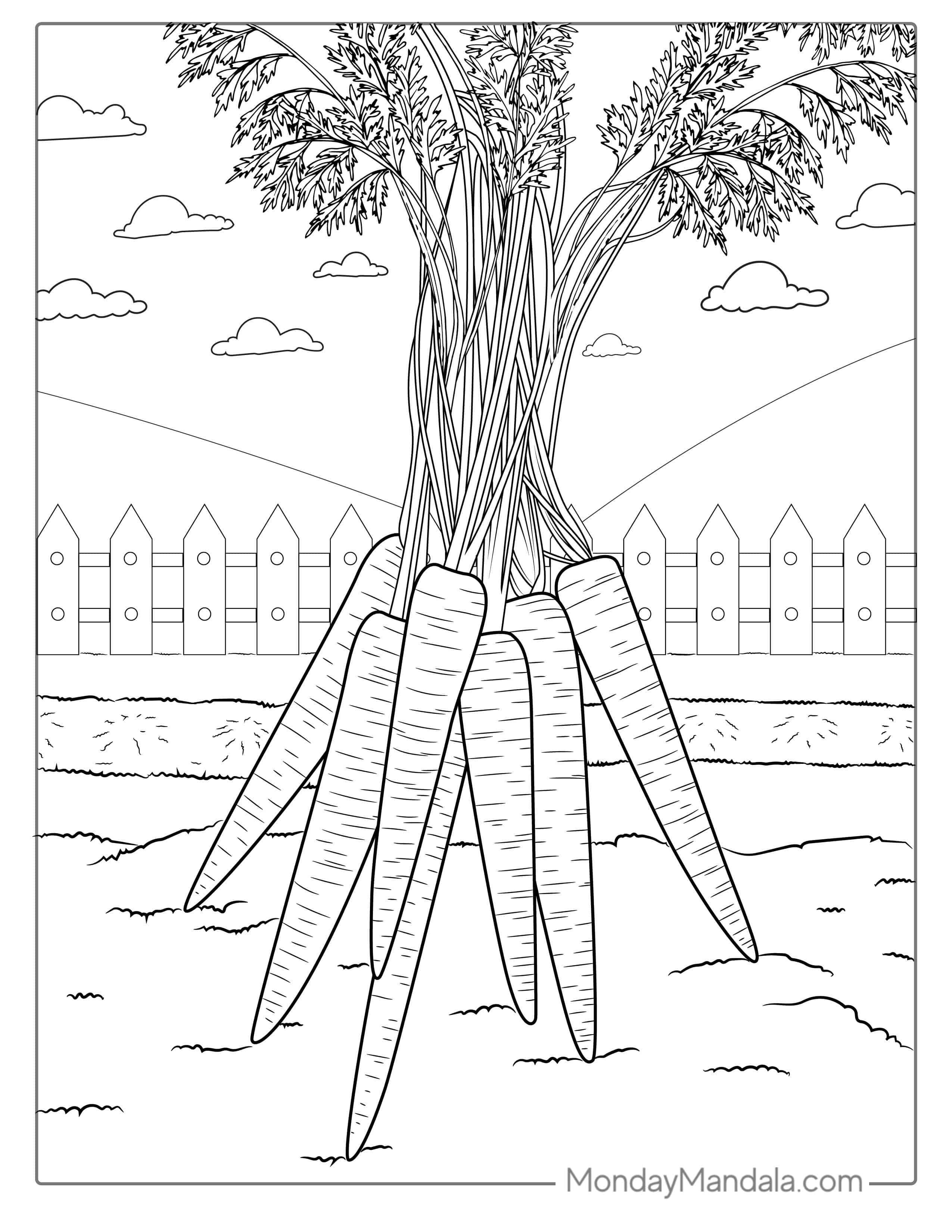 Carrots Coloring Page For Kids coloring page