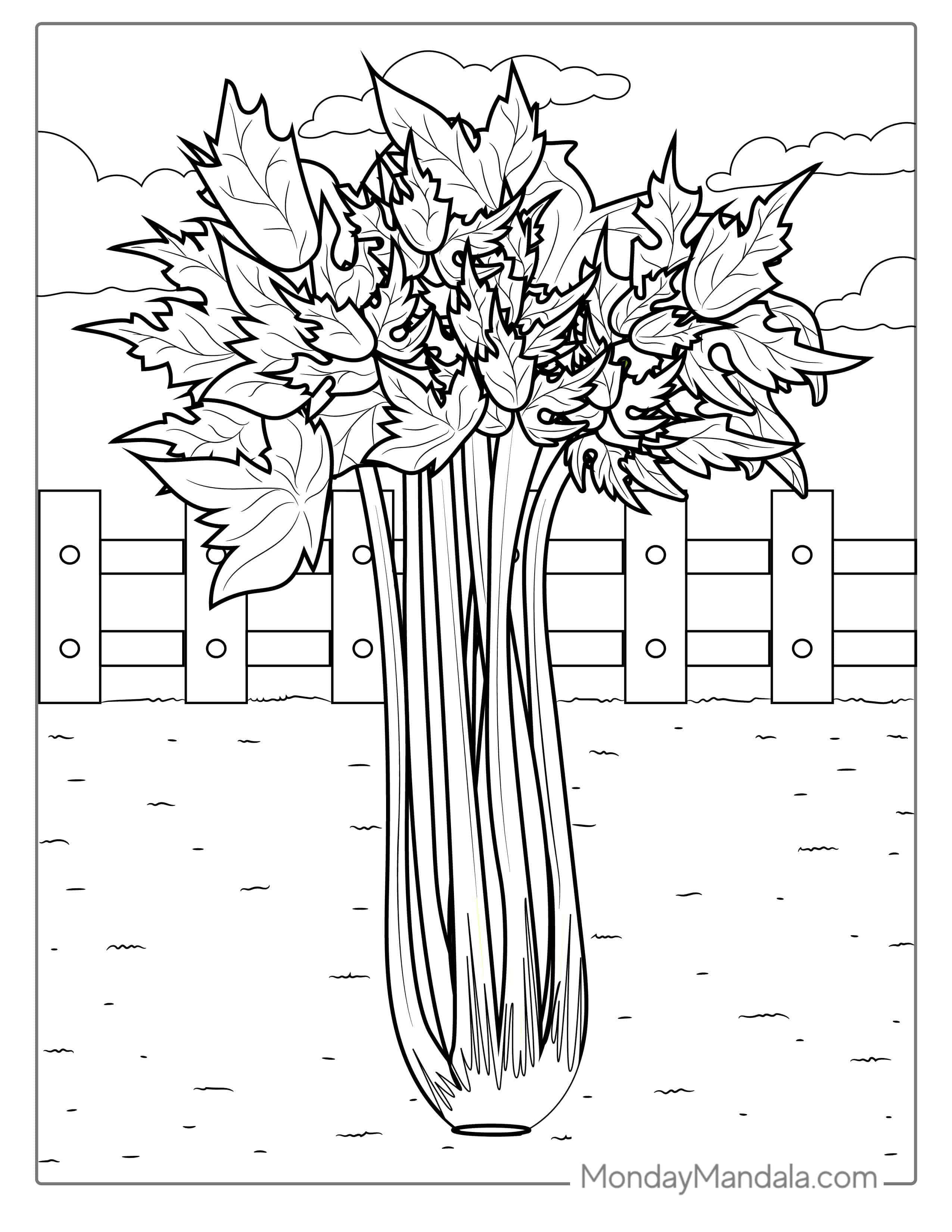 Celery Coloring Page coloring page