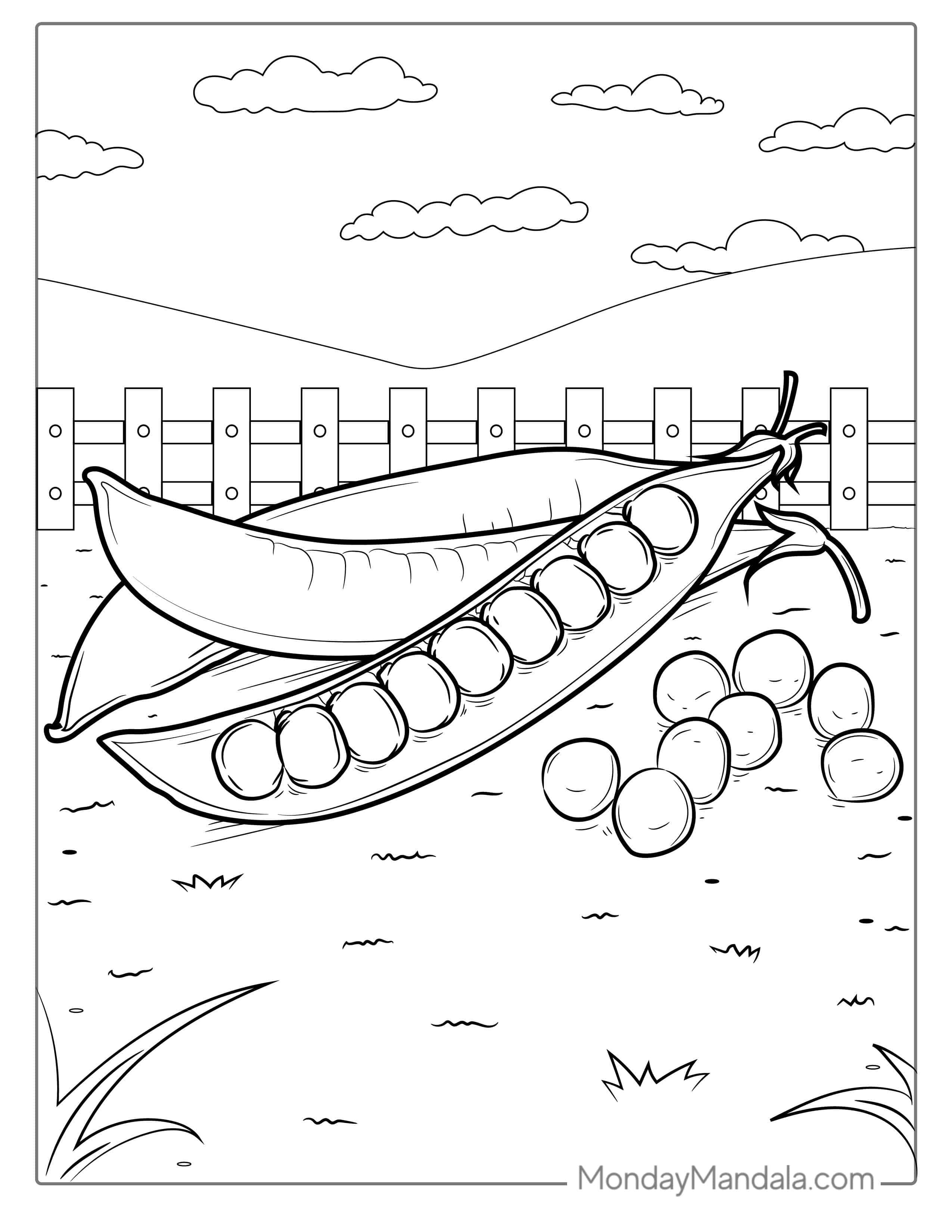 Peas Coloring Sheet coloring page
