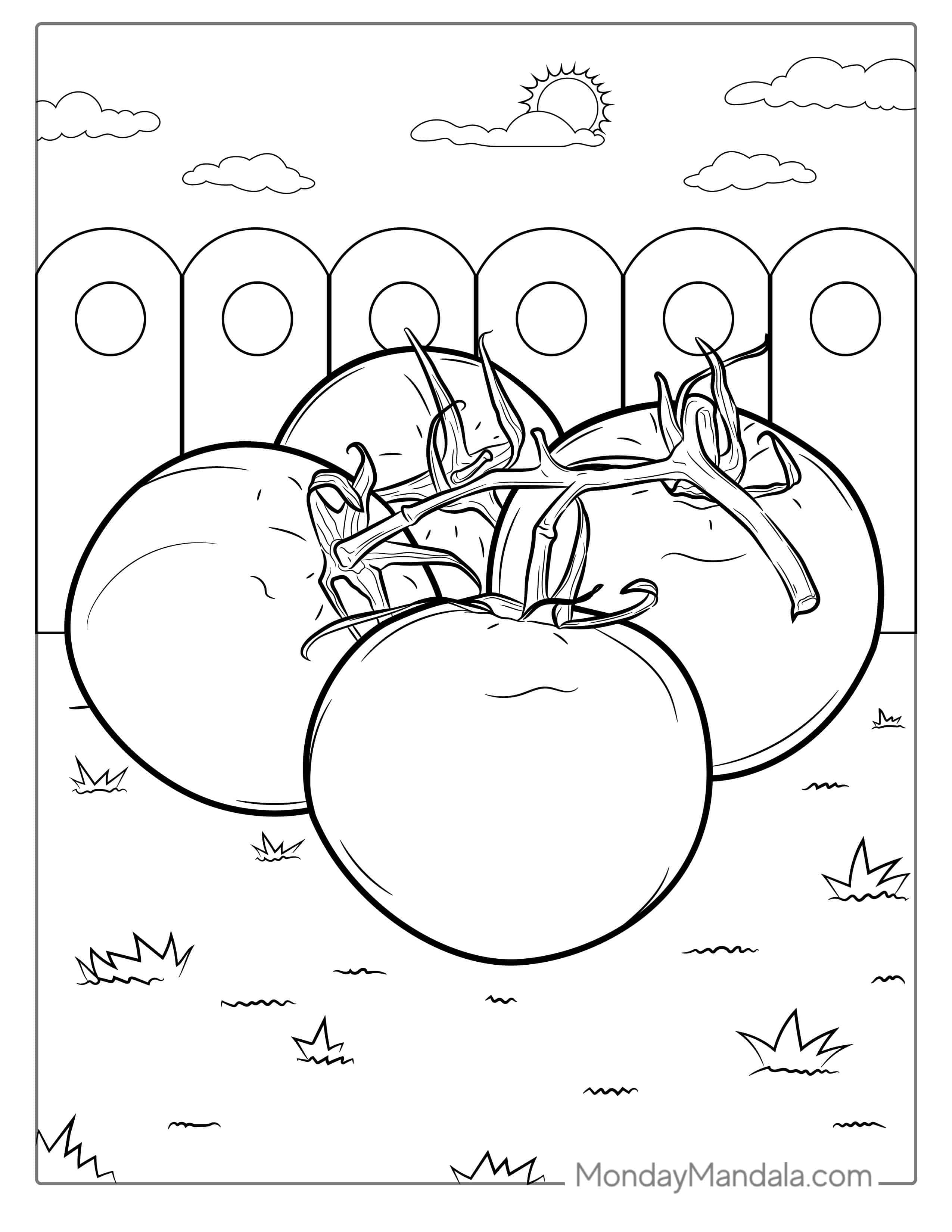 Vine Tomatoes Coloring Page coloring page — printable line art