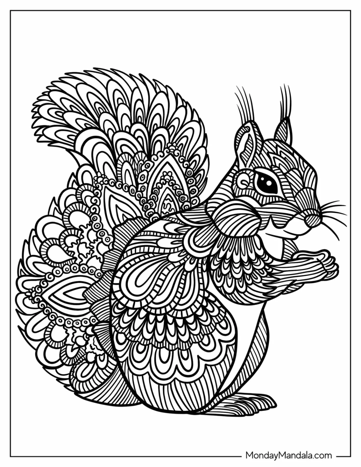 Adorable Squirrel Animal Mandala Coloring Page coloring page