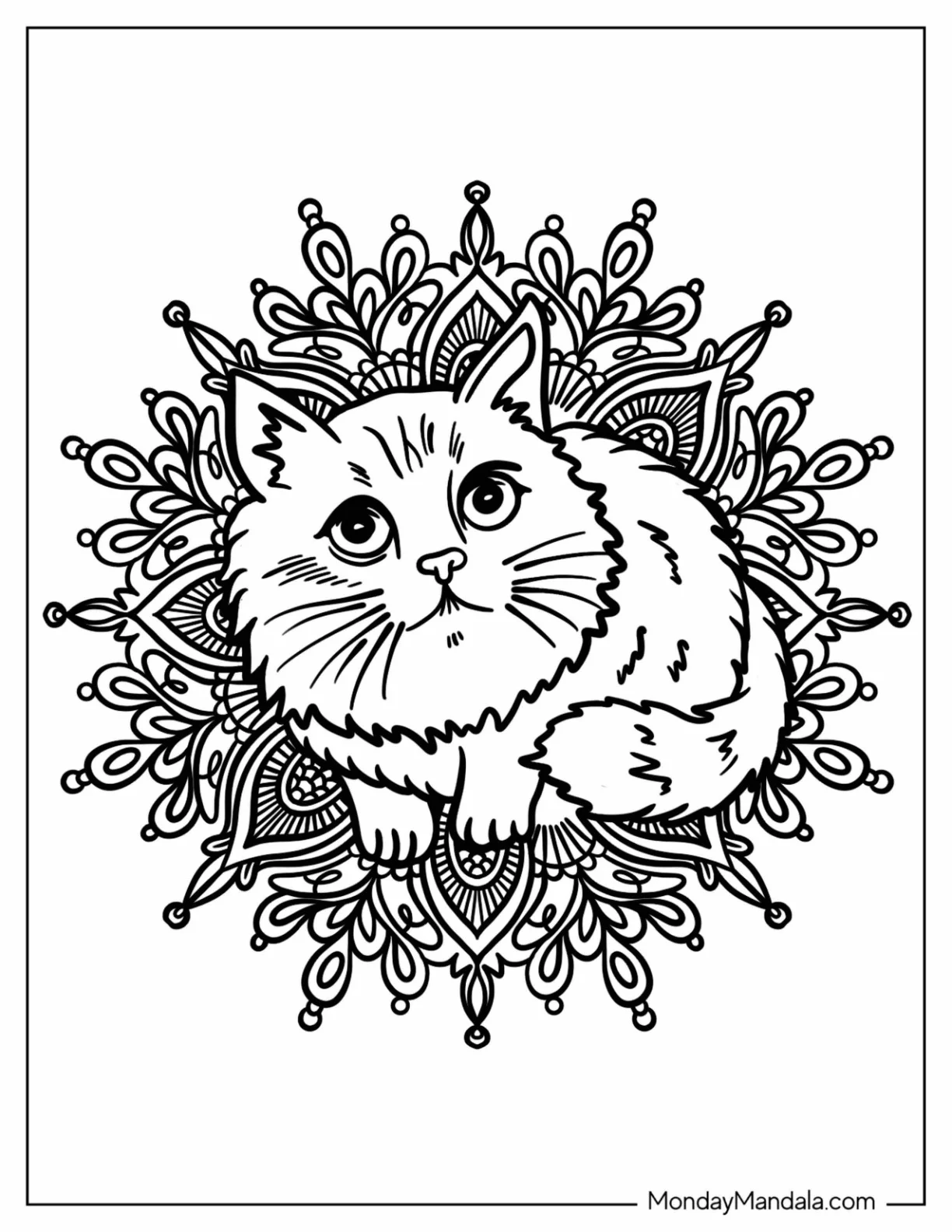 Furry Cat Inside A Complex An Animal Mandala Coloring Page coloring page