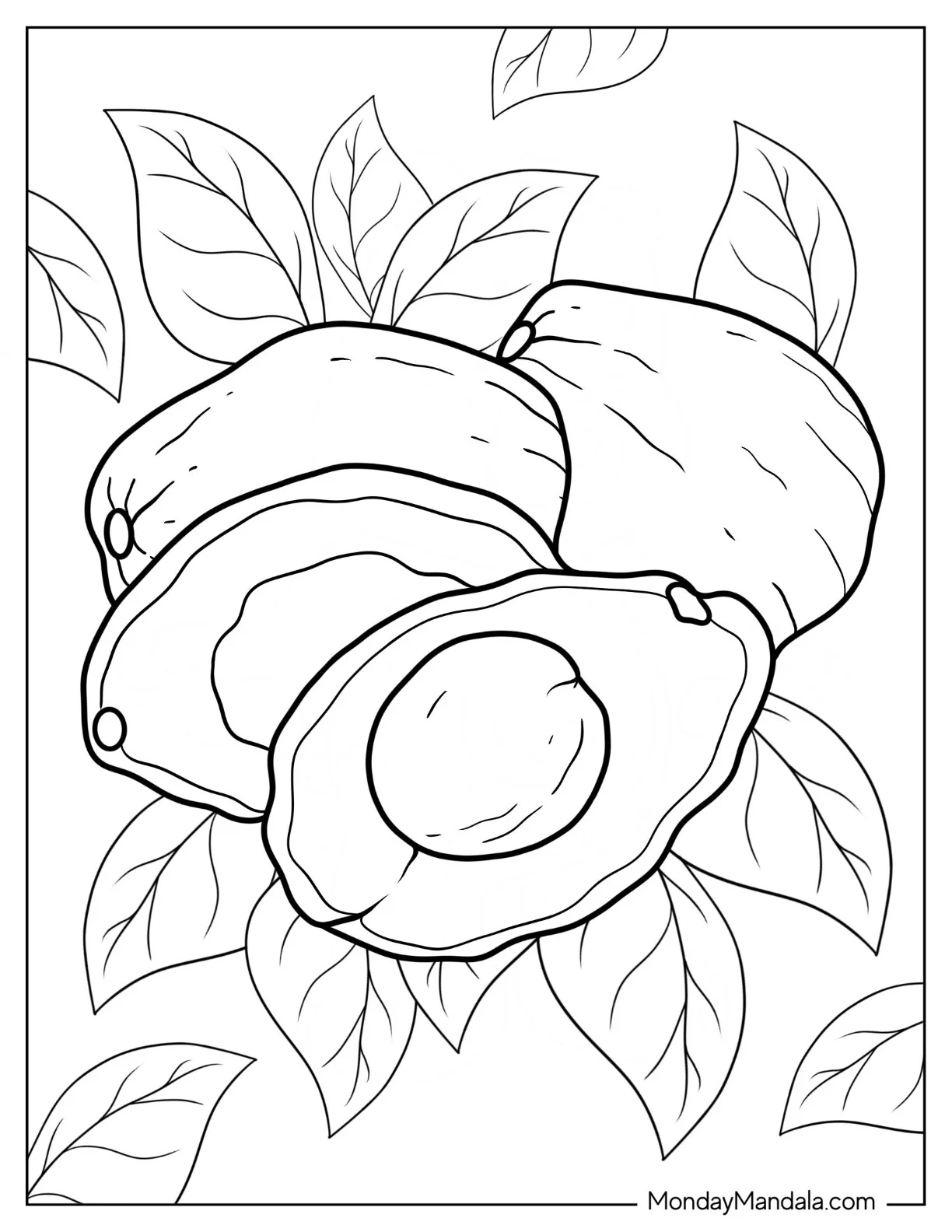 Whole Avocado With Half Avocado Coloring Page coloring page