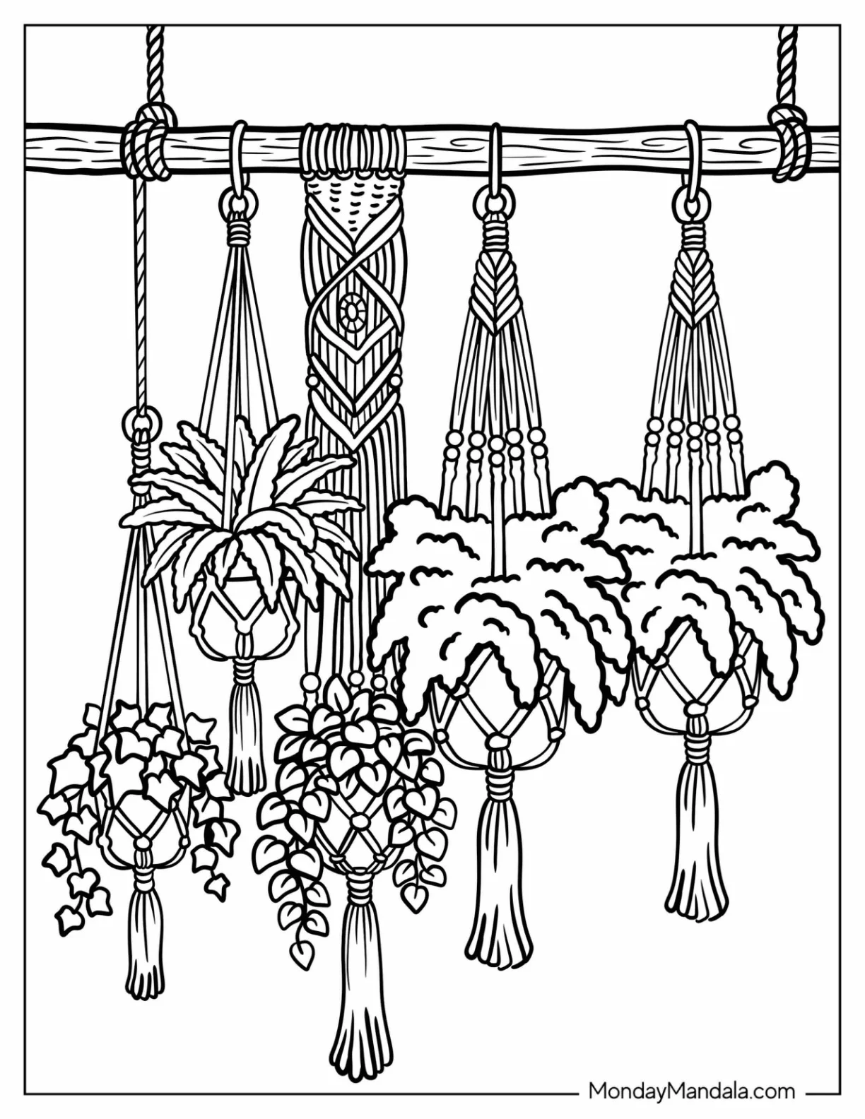 Boho Macramé Plant Hangers with Cascading Houseplants coloring page