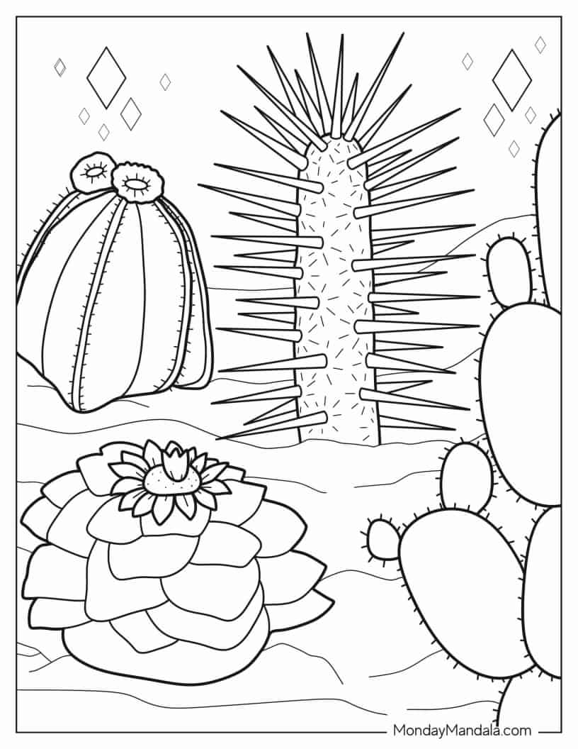 Assorted Cactus And Succulents In The Desert coloring page — printable line art