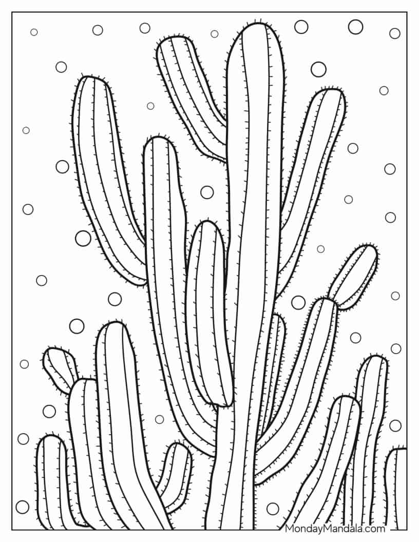 Realistic Desert Cactus With Spikes coloring page