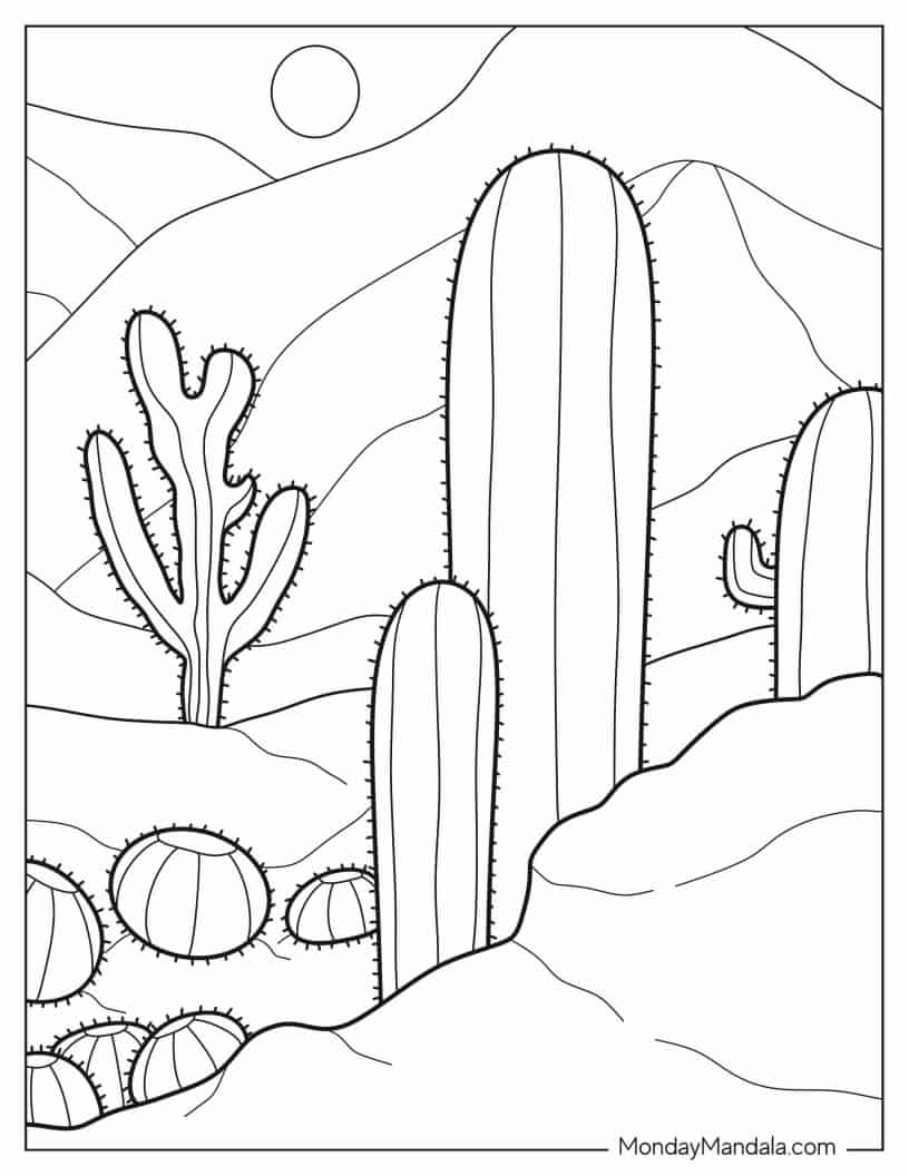 Various Cactus In Arizona Dessert To Color coloring page — printable line art