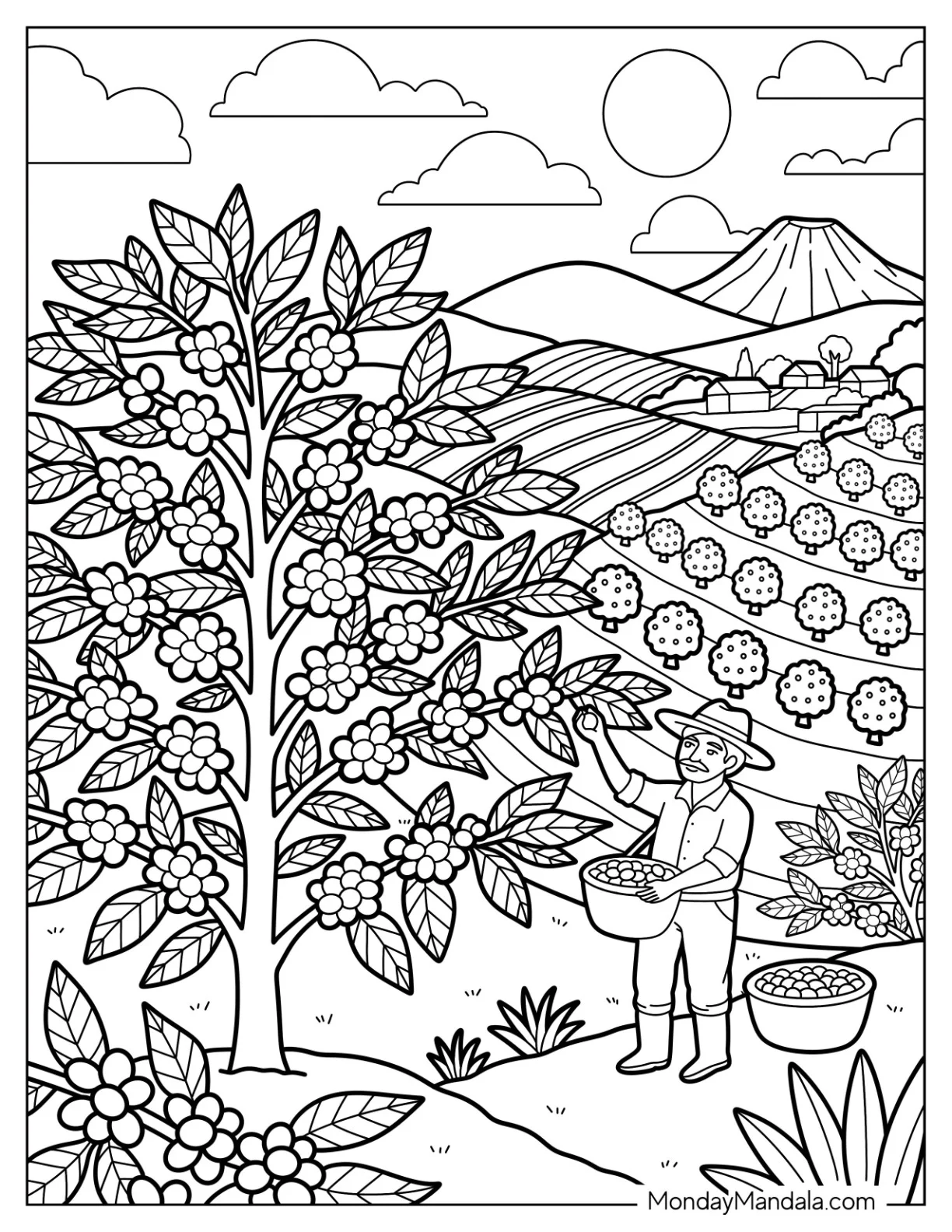 Farmer Harvesting Coffee Cherries on a Mountain Plantation coloring page