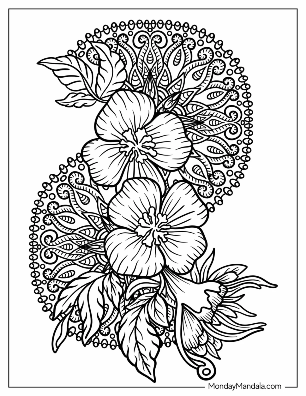 Curved Hibiscus Flower Mandala Coloring Page coloring page