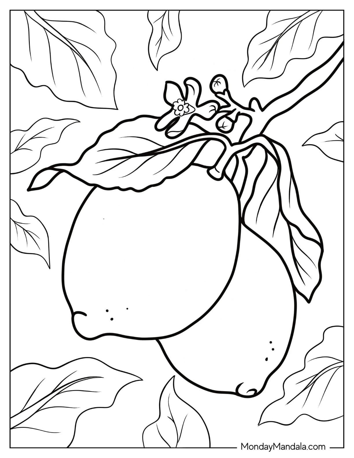 Two Whole Lemon Coloring Page Hanging From A Tree coloring page