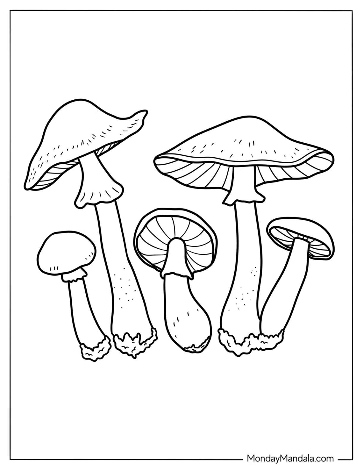 Honeycup Mushroom Coloring Page coloring page — printable line art