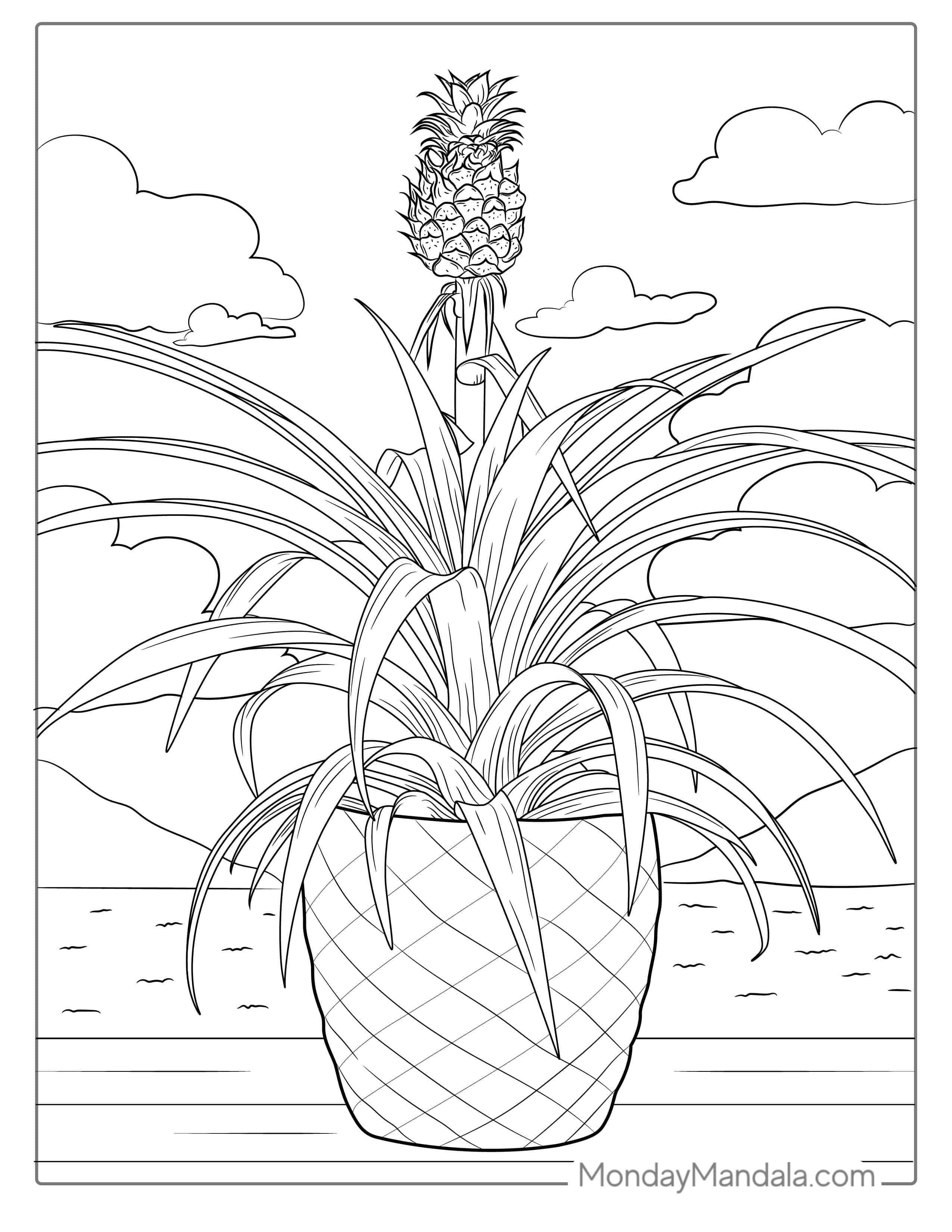 Pineapple Plant Coloring Page coloring page — printable line art