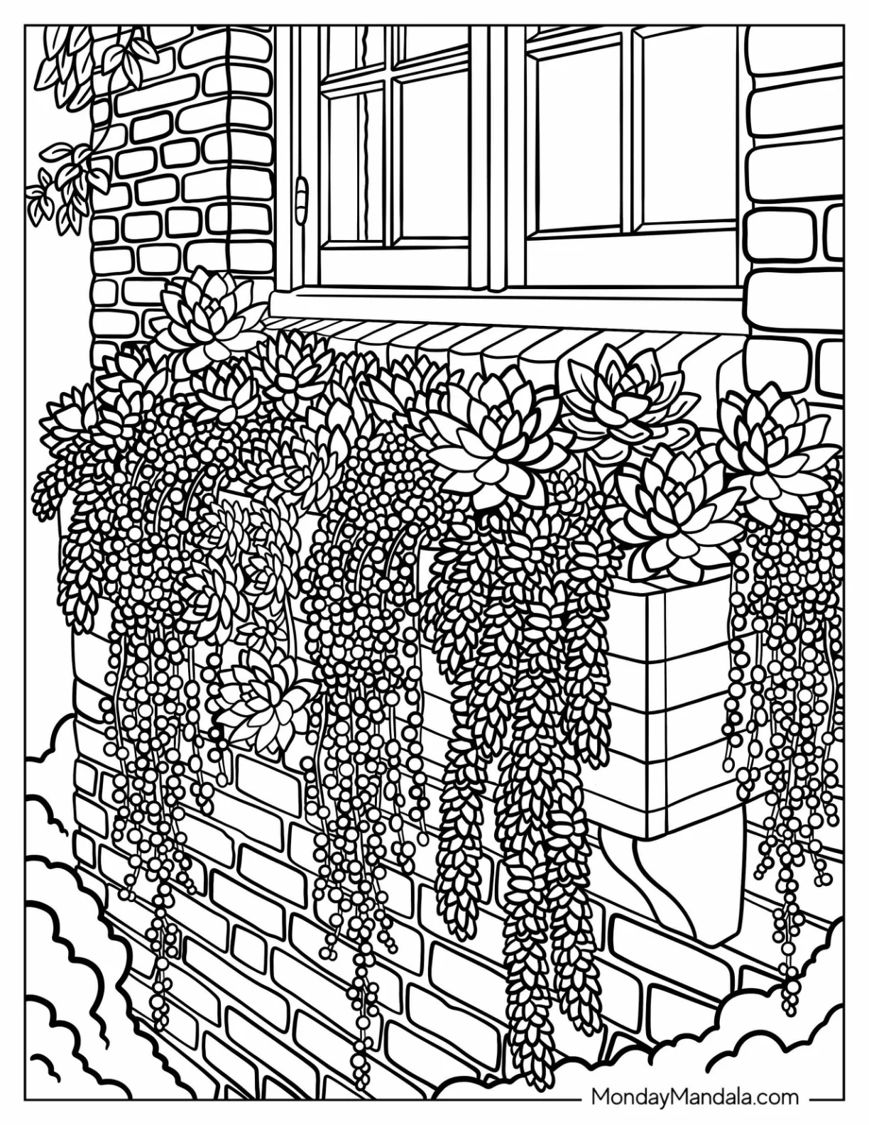 Echeveria and Burro’s Tail Succulents in Window Boxes Coloring Sheet coloring page
