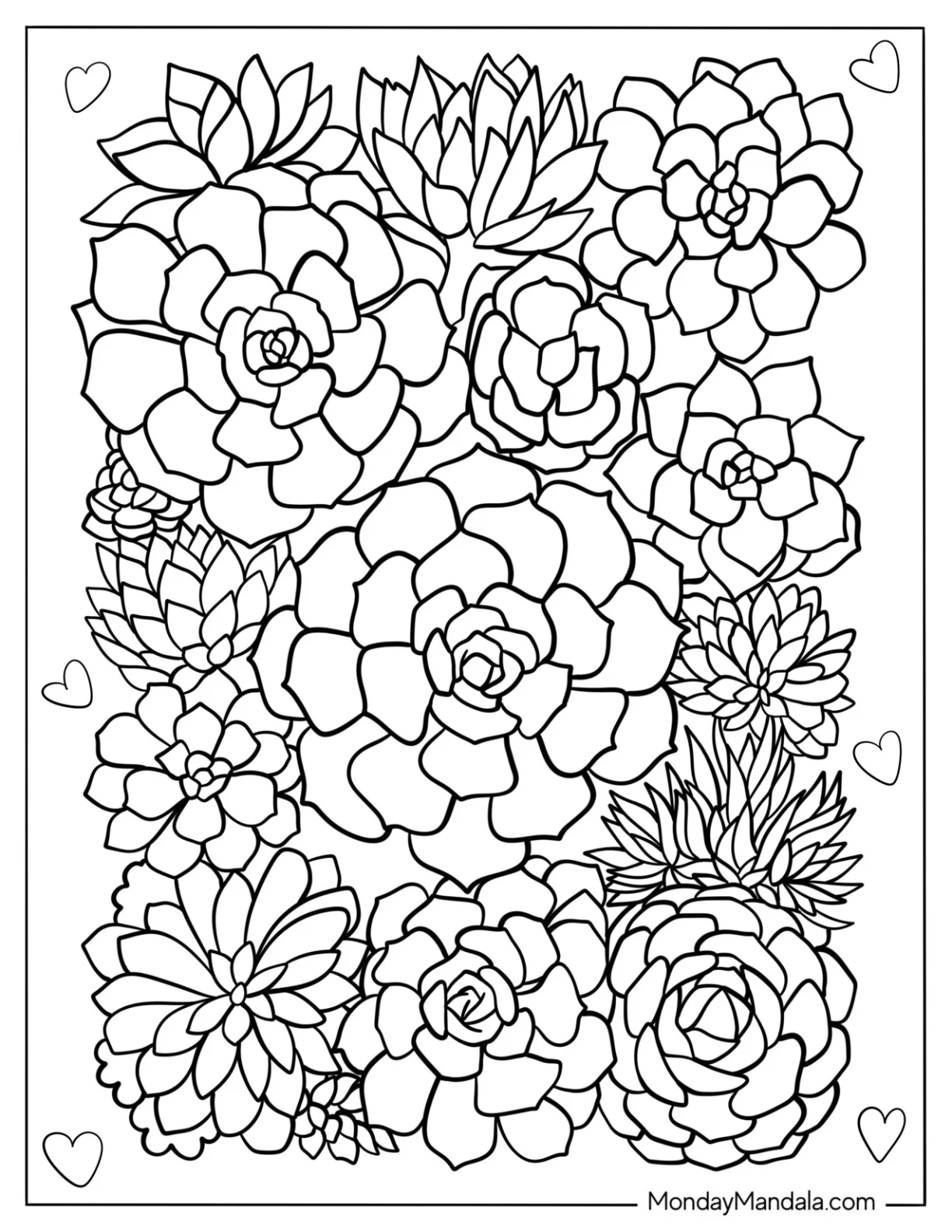 Full Page Succulent Coloring Page Variety coloring page