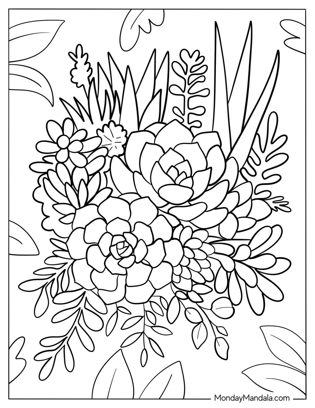 Pretty Echeveria And Haworthia Succulent Coloring Page coloring page