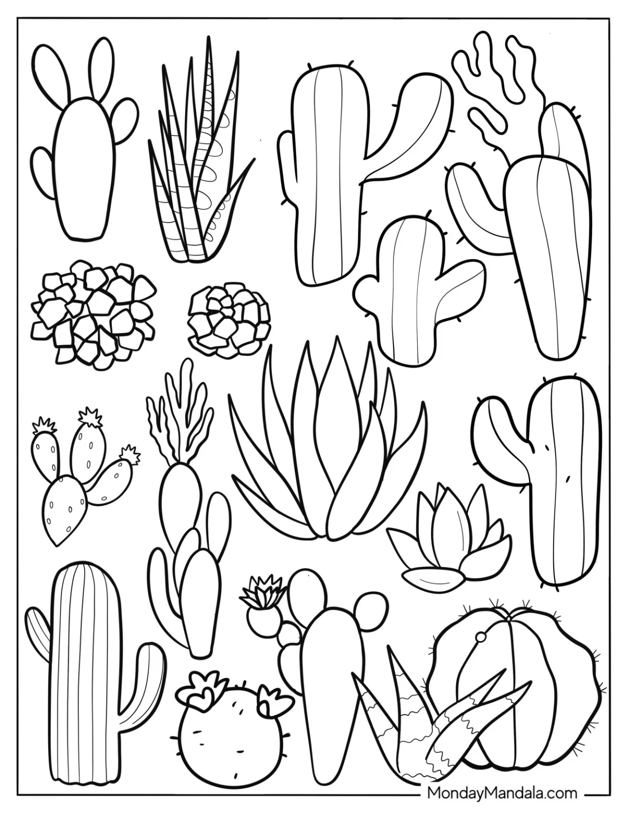Realistic Succulent Coloring Page With Cactus coloring page