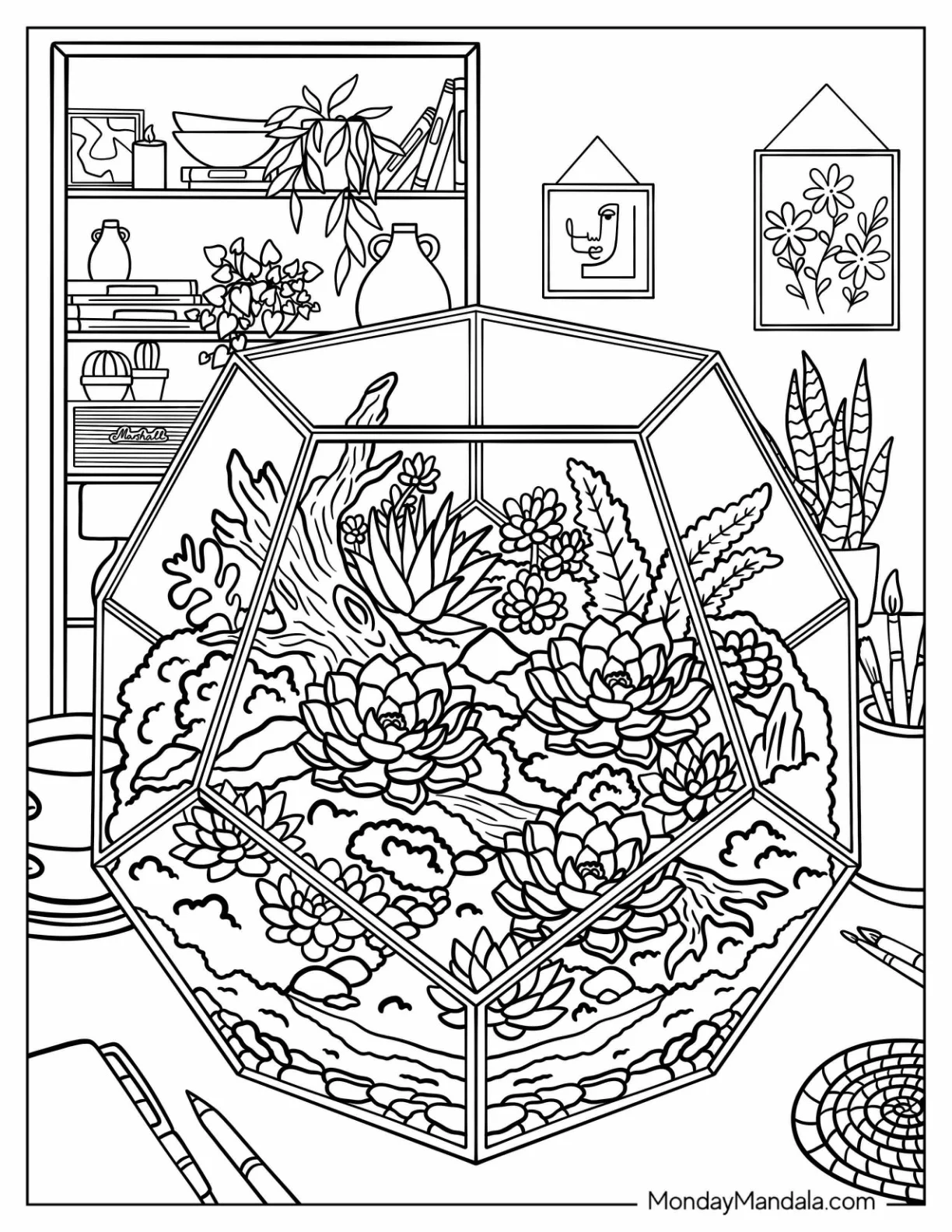 Realistic Succulents in a Geometric Terrarium Coloring Page coloring page