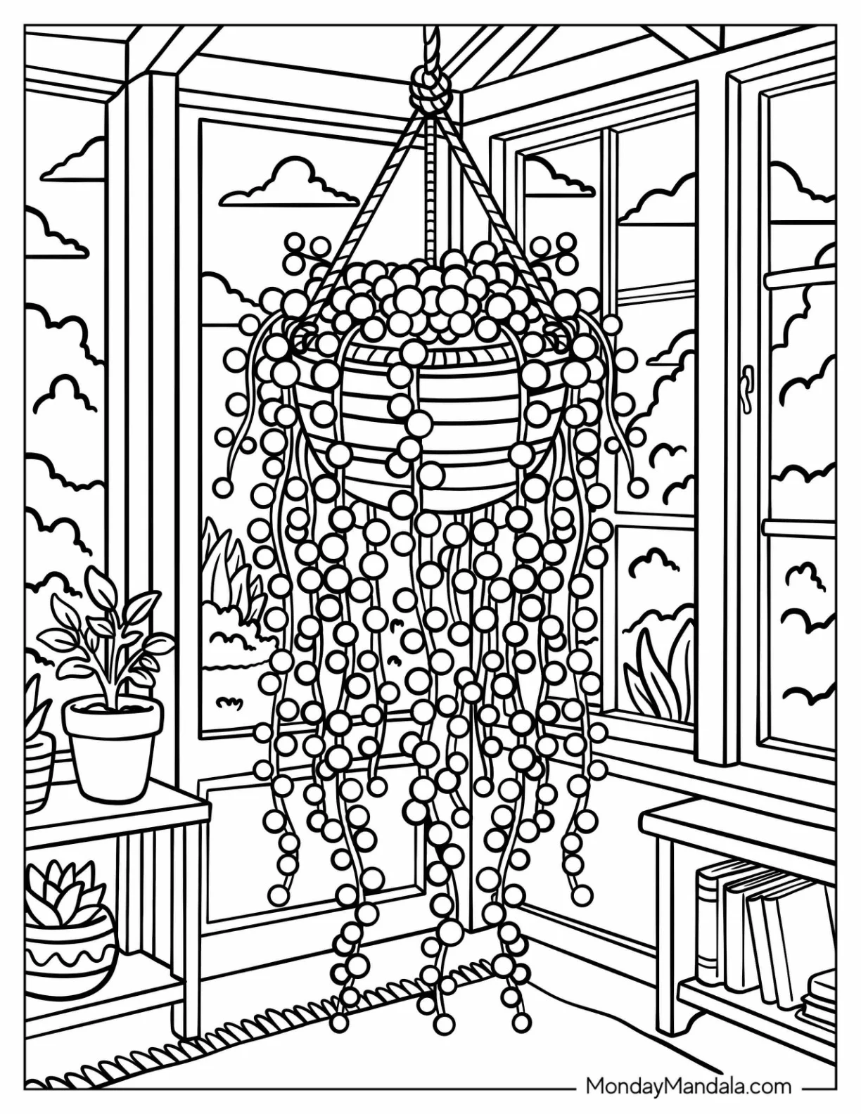 String of Pearls Succulent in a Hanging Basket by a Sunny Window Coloring Sheet coloring page