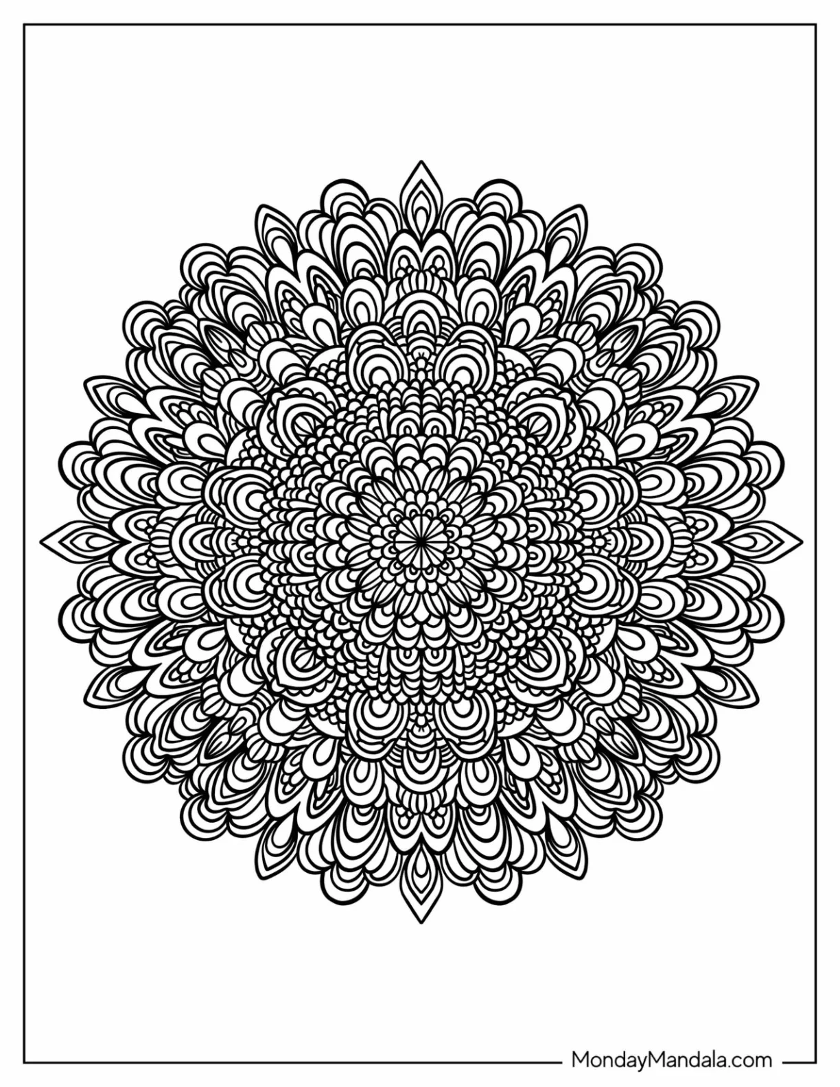 Complex Flower Zentangle Coloring Page coloring page — printable line art