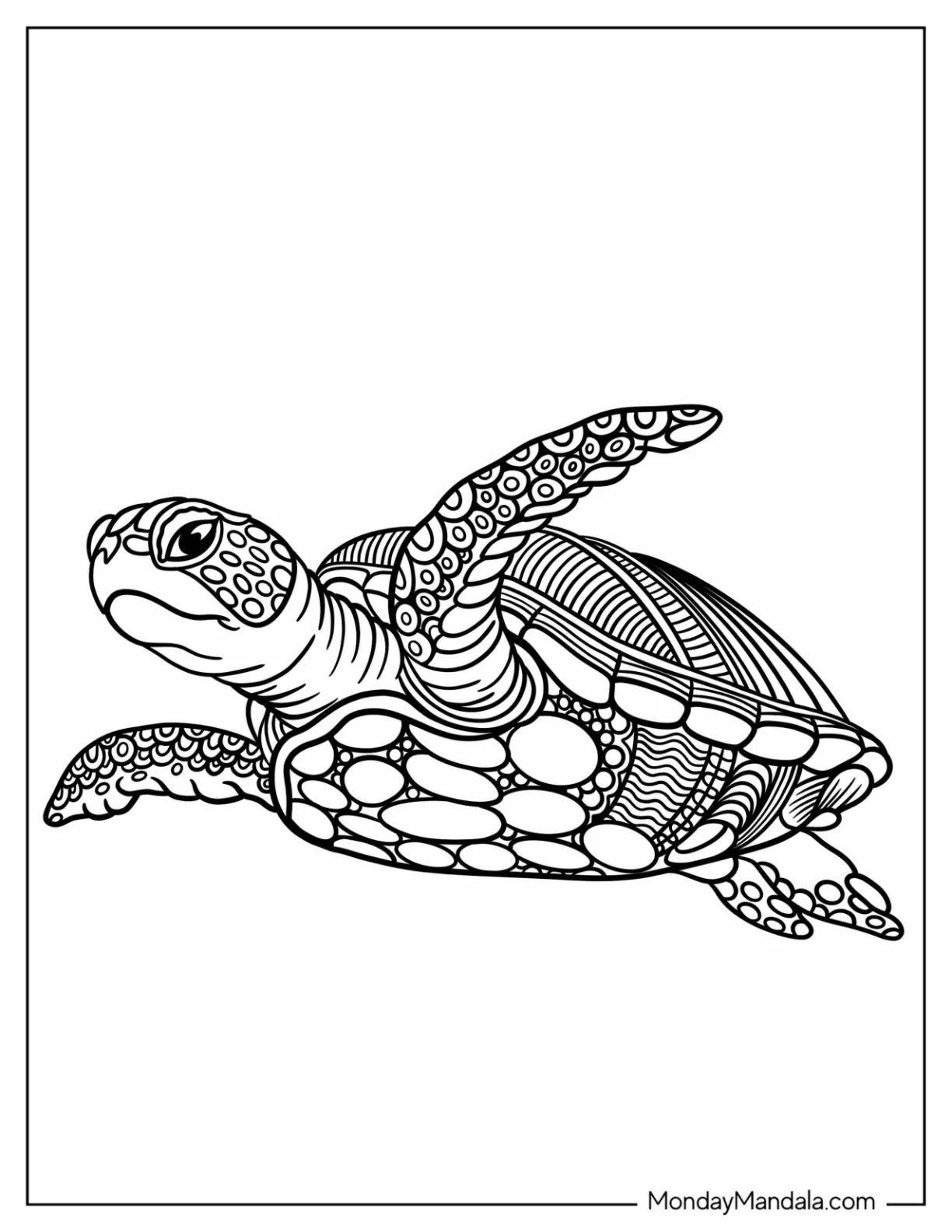 Detailed Turtle Zengangle Coloring Page For Kids coloring page — printable line art