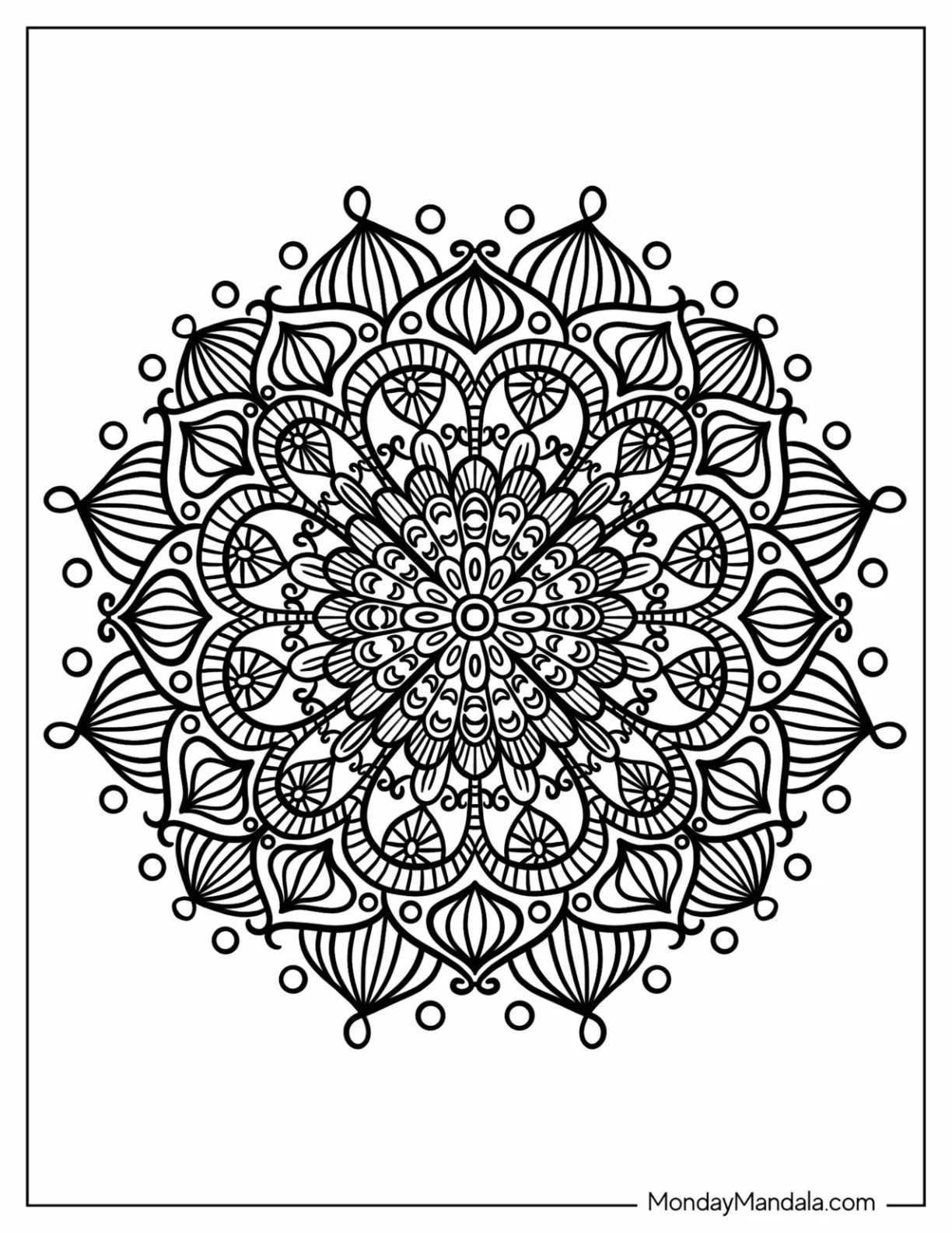 Large Floral Zentangle Coloring Page With Circles coloring page