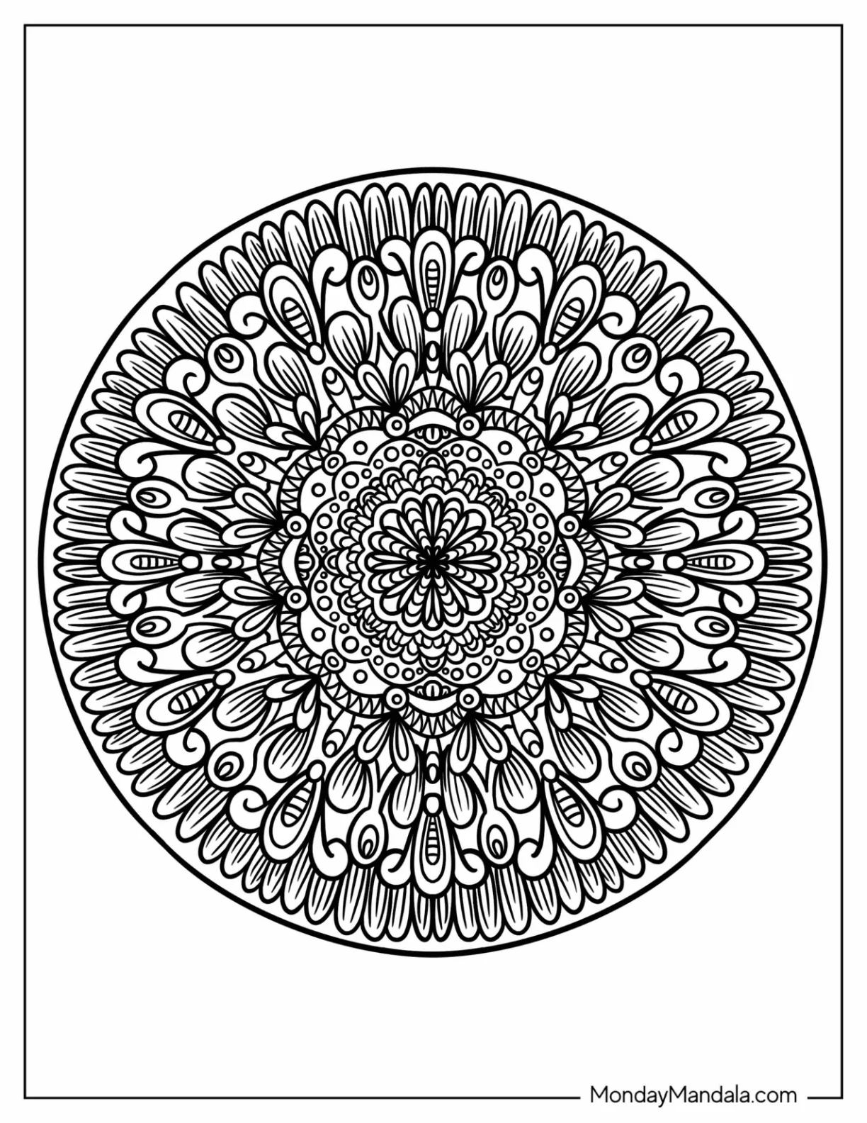 Majestic Floral Zentangle Coloring Page coloring page — printable line art