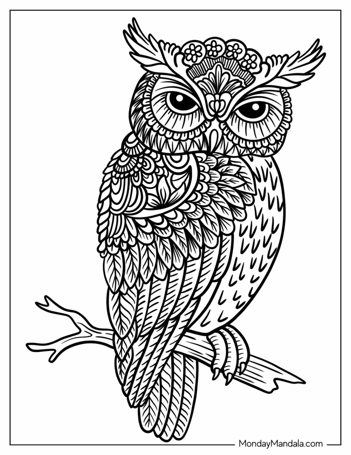 Owl Perched On A Tree Branch Zentangle Coloring Page coloring page