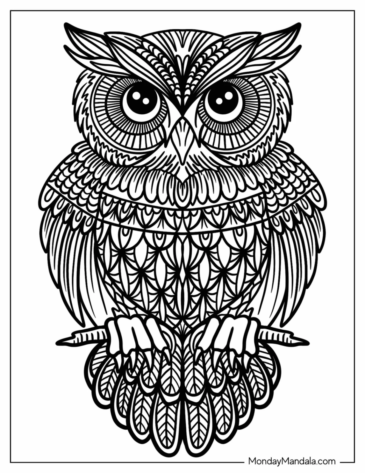 Realistic Owl Zentangle Coloring Page coloring page