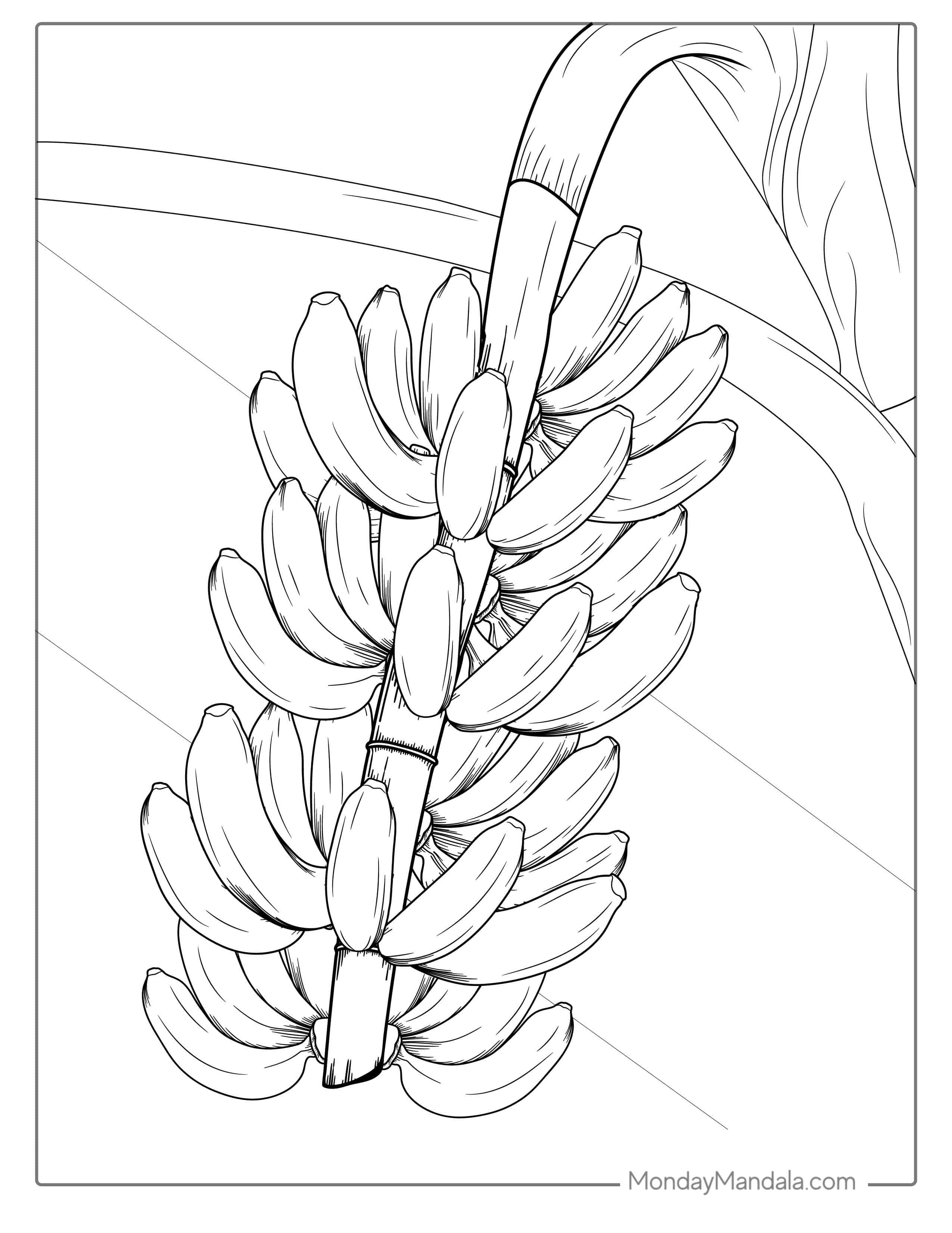 Banana Plant Coloring Page coloring page