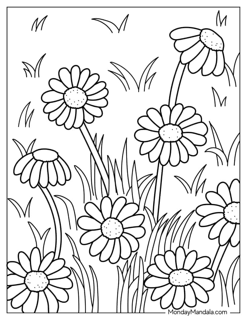 Daisies In a Field Of Grass coloring page