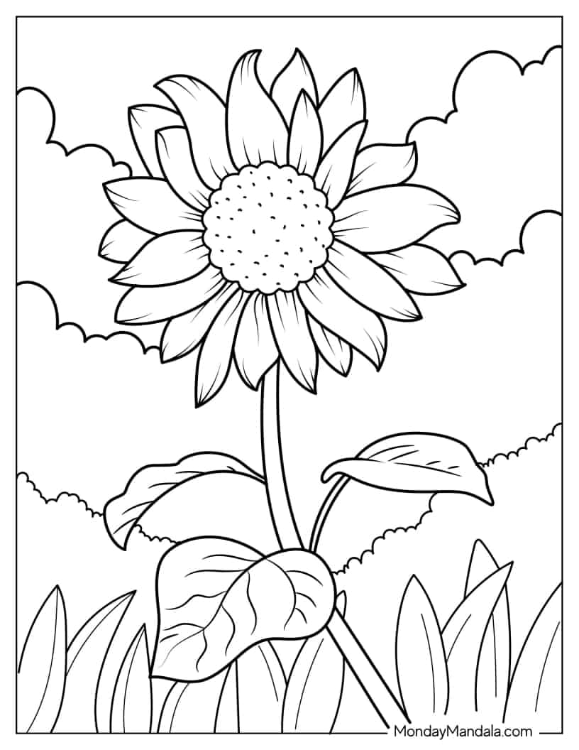 Daisy Flower Coloring Page For Kids coloring page